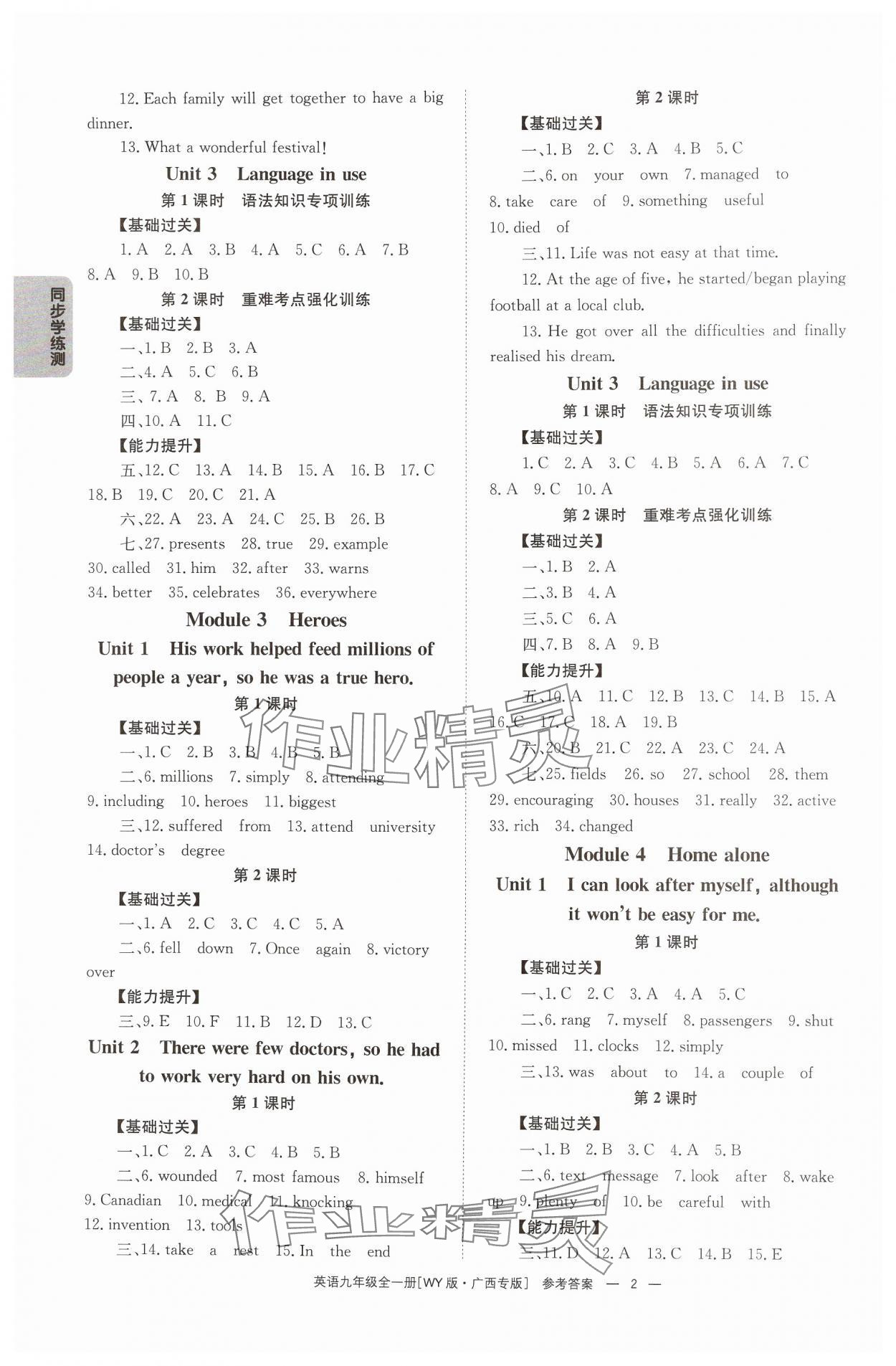 2024年全效學(xué)習(xí)同步學(xué)練測九年級英語全一冊外研版廣西專版 第2頁