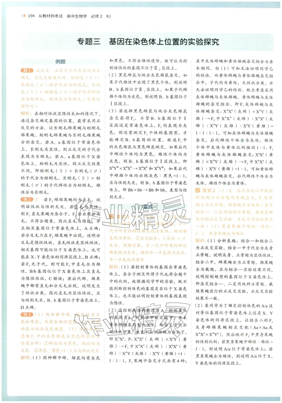 2026年从教材到考试高中生物必修第二册人教版&nbsp;第11页