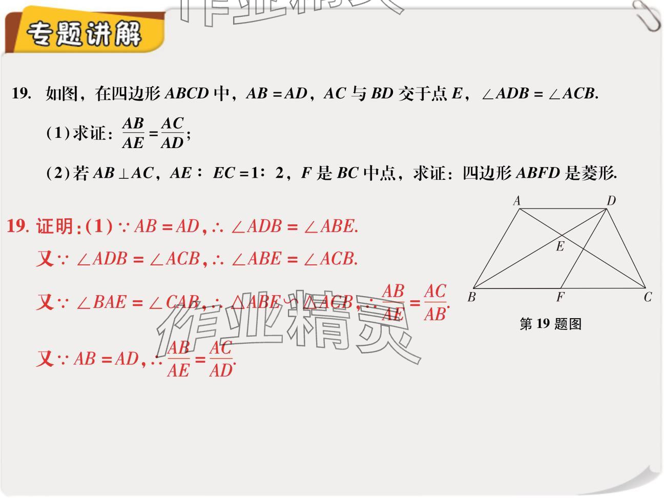 2024年復(fù)習(xí)直通車期末復(fù)習(xí)與假期作業(yè)九年級(jí)數(shù)學(xué)北師大版 參考答案第18頁(yè)