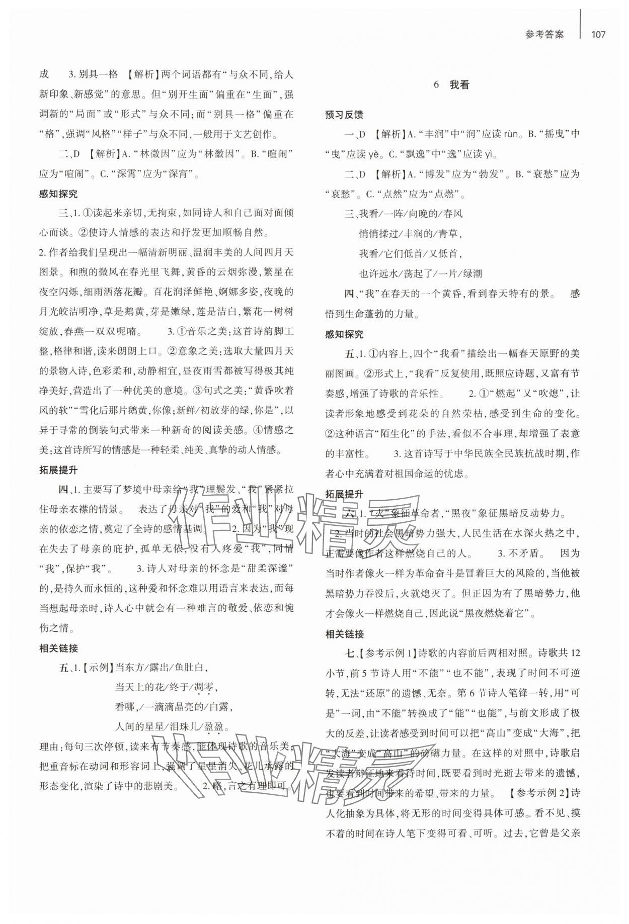 2024年同步練習(xí)冊(cè)大象出版社九年級(jí)語(yǔ)文上冊(cè)人教版 第3頁(yè)