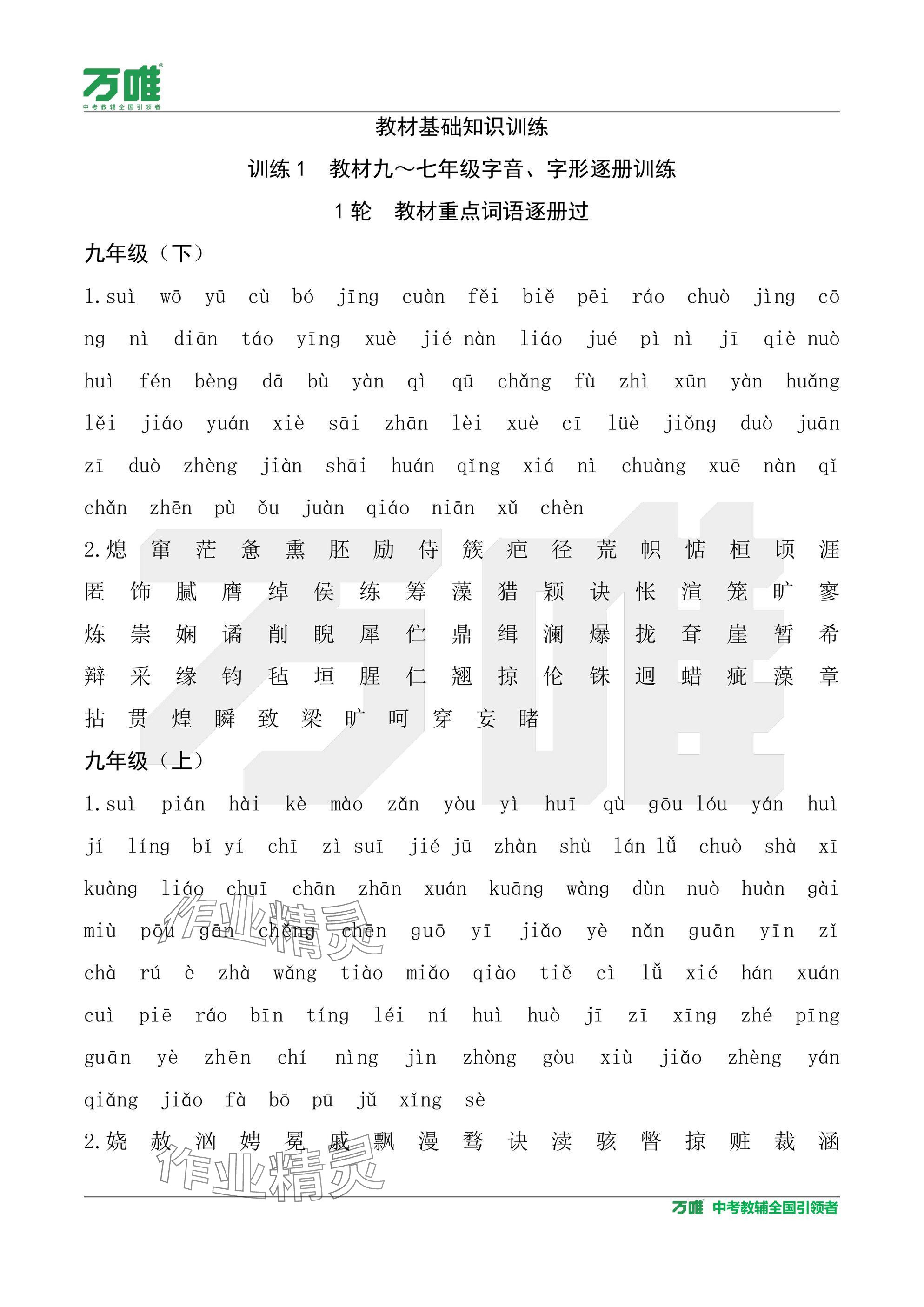 2025年中考面對(duì)面語文陜西專版 參考答案第19頁