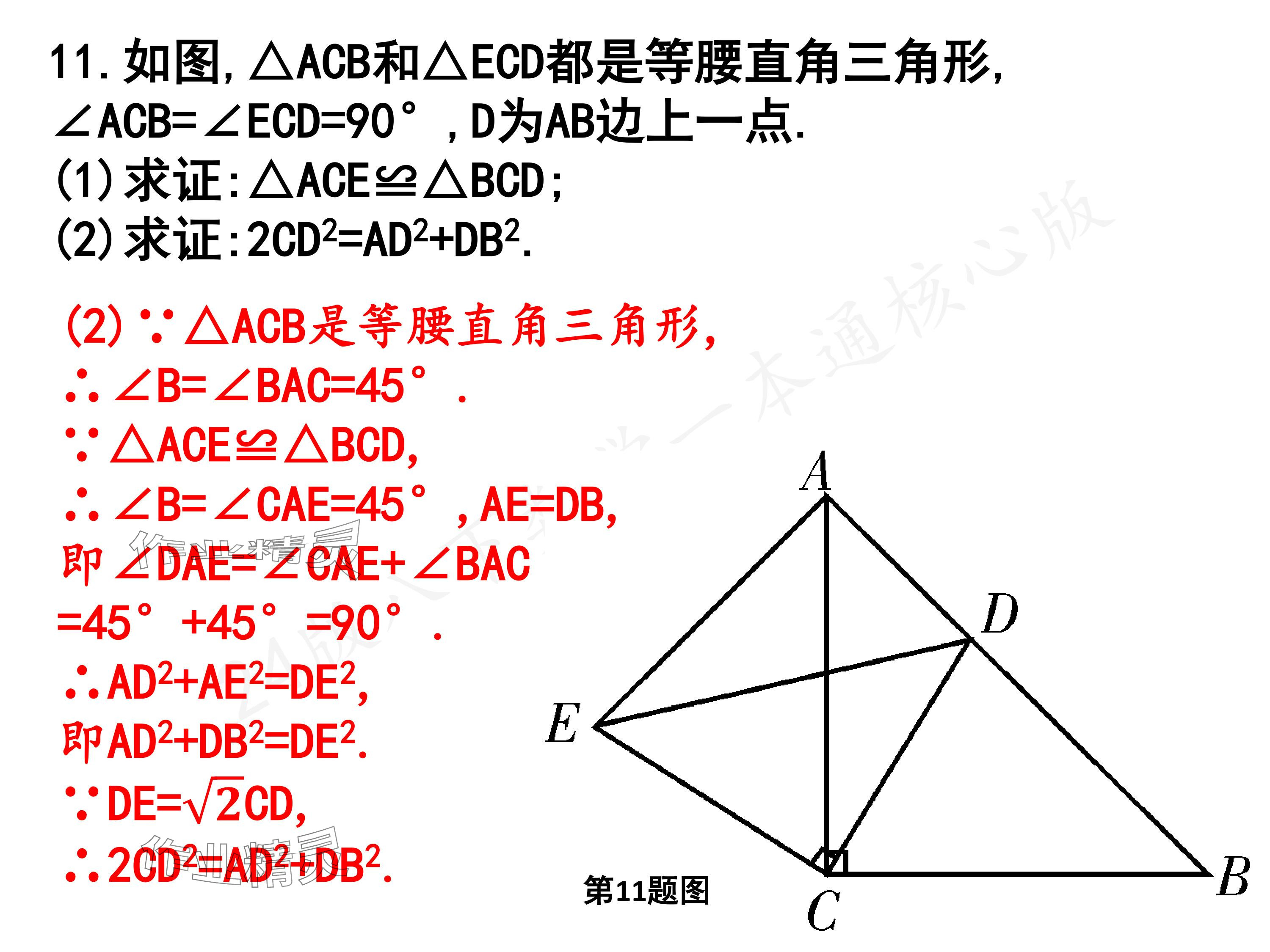 2024年一本通武漢出版社八年級數(shù)學(xué)下冊北師大版核心板 參考答案第17頁