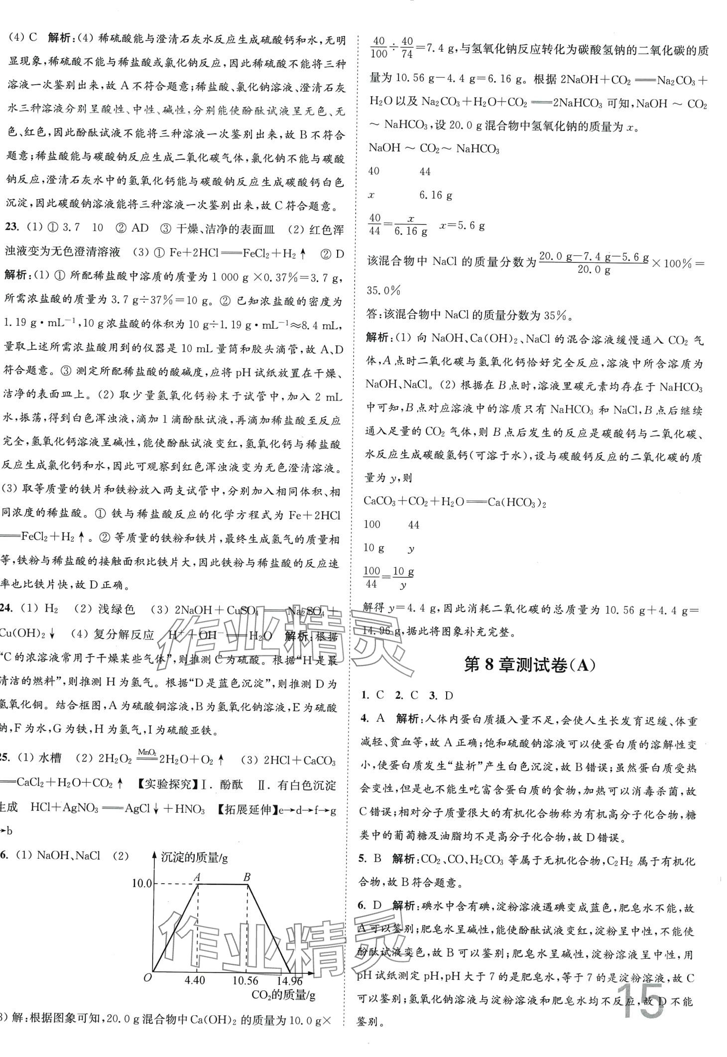 2024年江苏密卷九年级化学下册沪教版 第15页