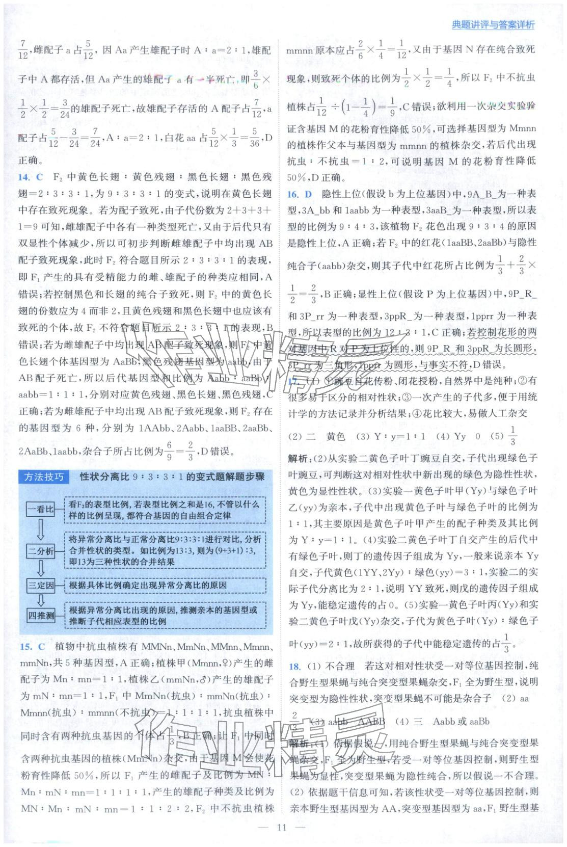 2025年小题狂做高中生物必修第二册人教版 第11页