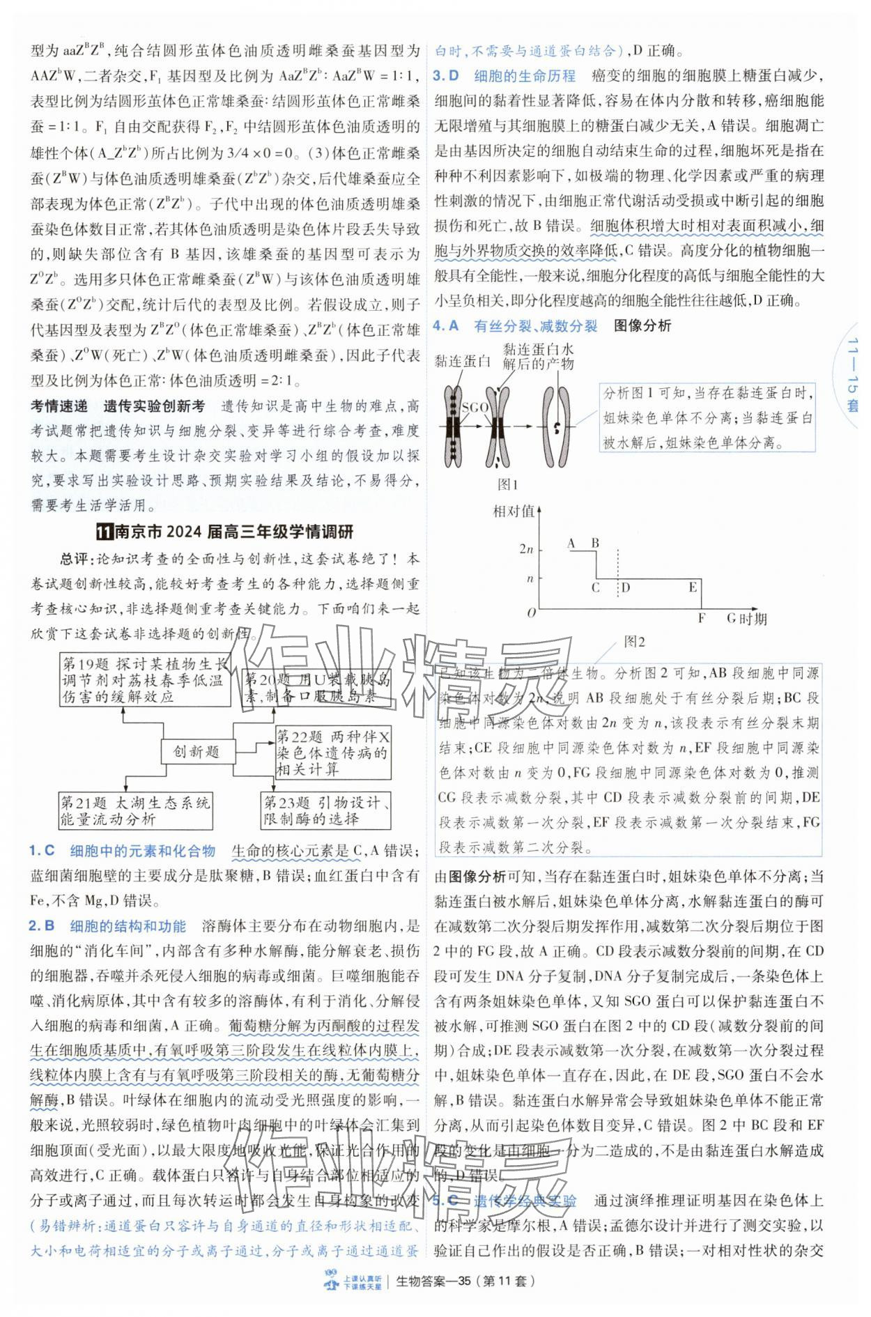 2025年高考沖刺優(yōu)秀模擬試卷匯編45套生物 第35頁(yè)