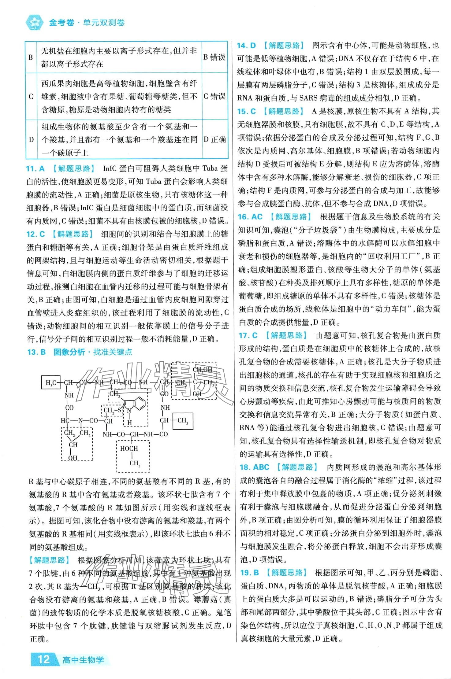 2024年金考卷活頁(yè)題選高中生物必修1人教版 參考答案第12頁(yè)