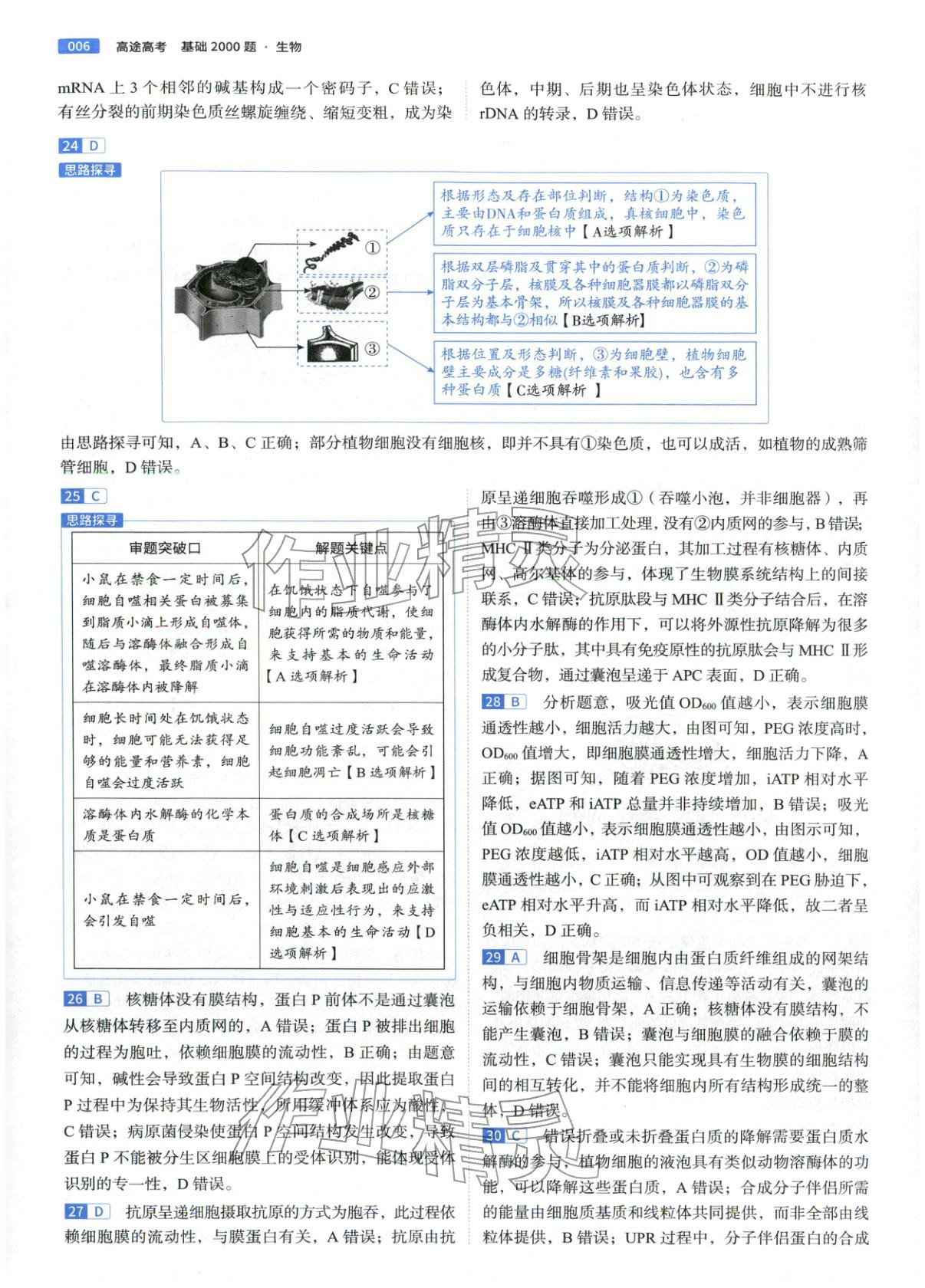 2026年高途高考基礎(chǔ)2000題高中生物&nbsp;第6頁