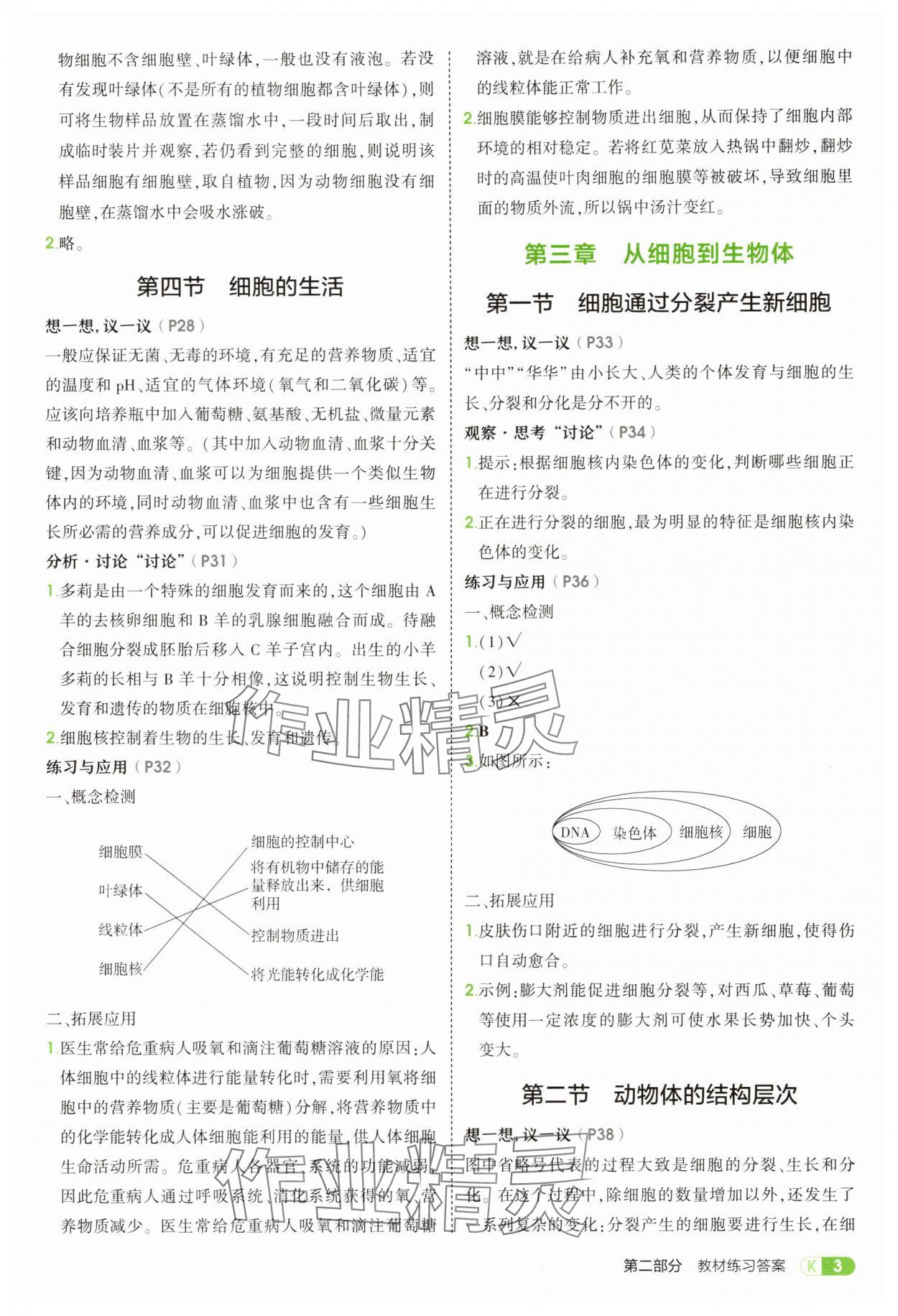 2025年教材课本七年级生物上册人教版 参考答案第3页