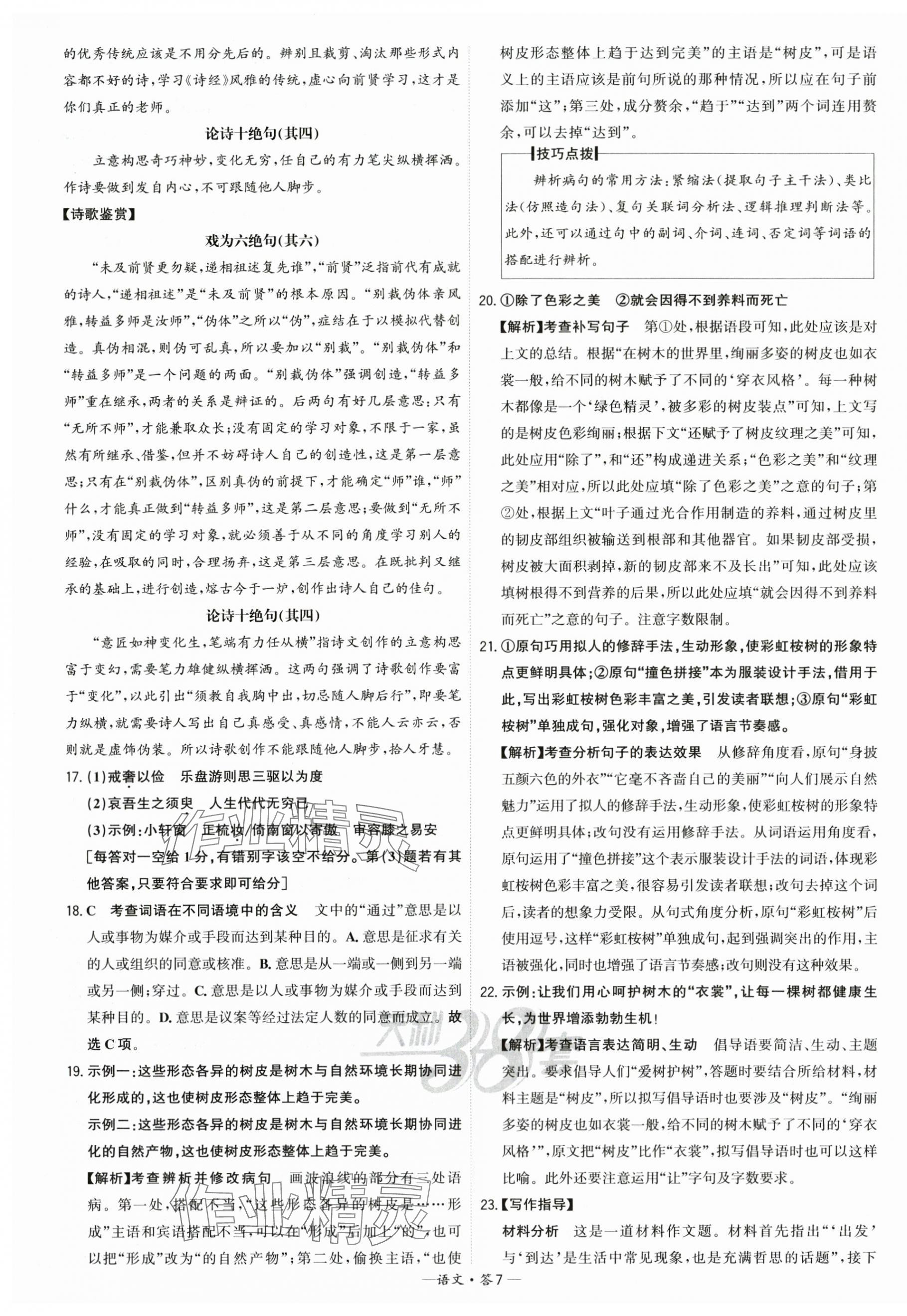 2025年高考模擬試題匯編高中語文 第7頁