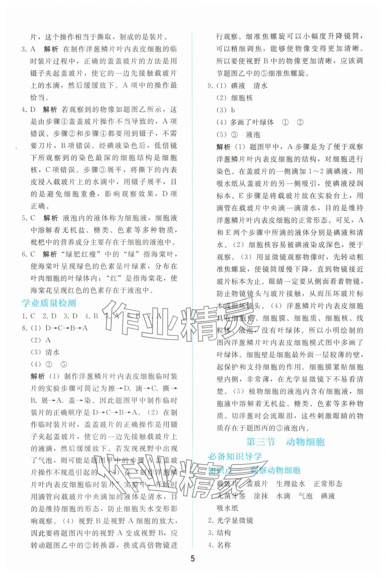 2025年同步轻松练习七年级生物上册人教版精编版 参考答案第4页