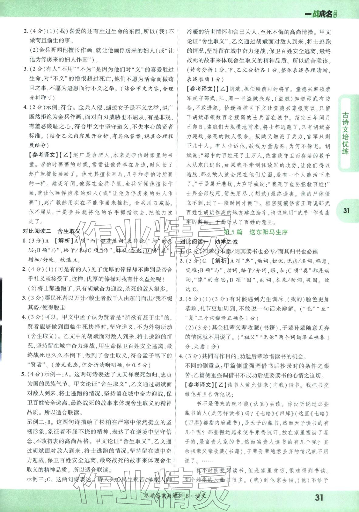 2026年纯练版总复习九年级语文全一册人教版&nbsp;第31页