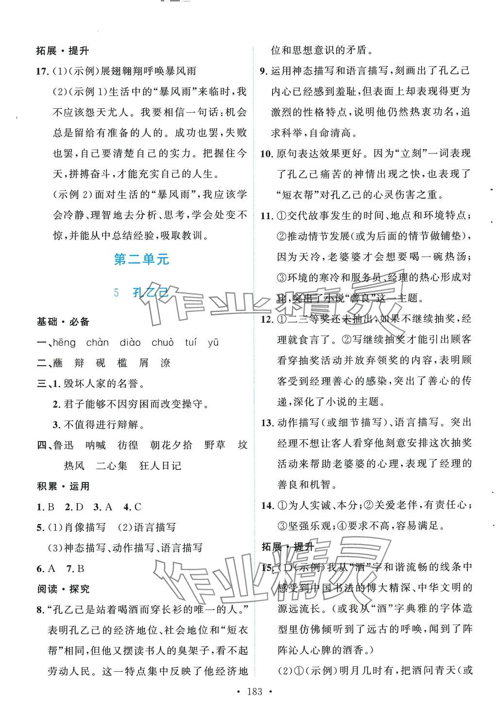 2024年實驗教材新學(xué)案九年級語文下冊人教版 第5頁