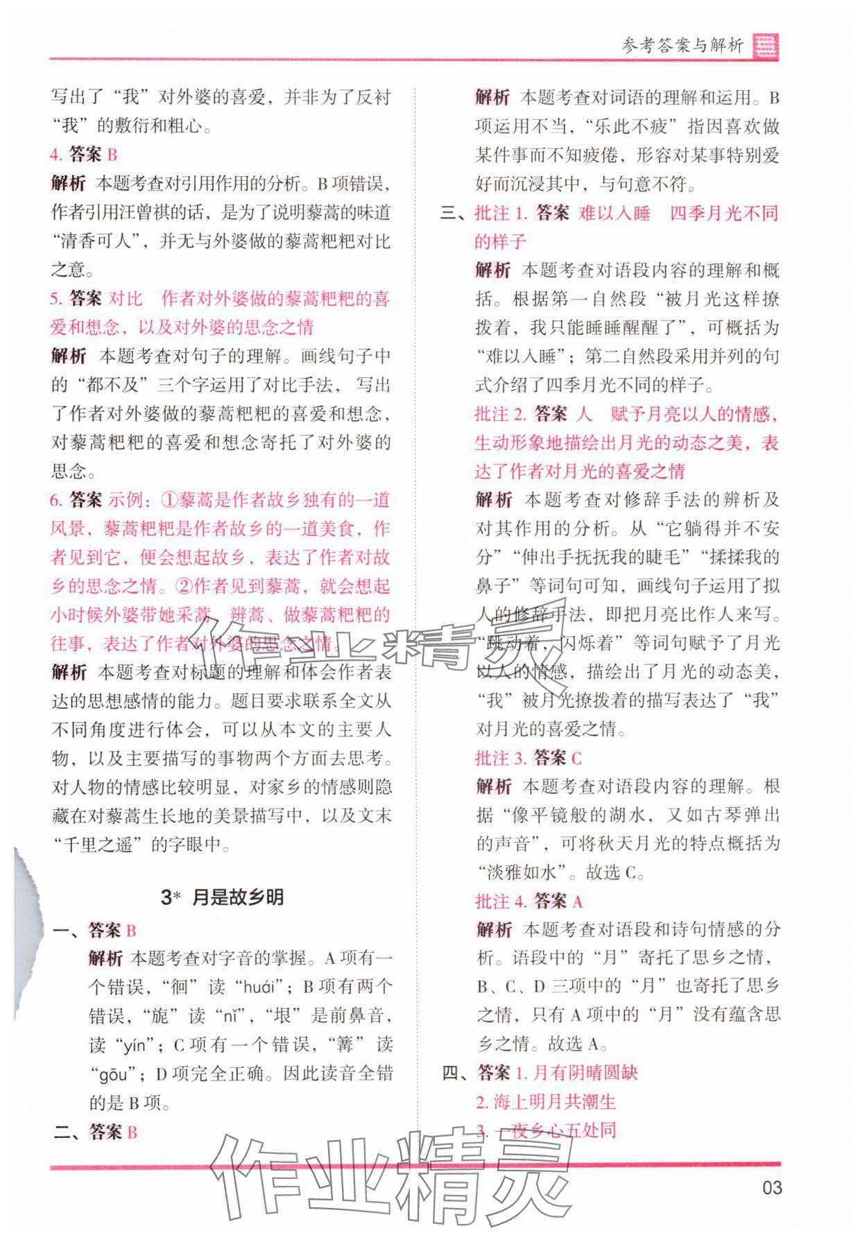 2025年木頭馬分層課課練五年級語文下冊人教版浙江專版 第3頁