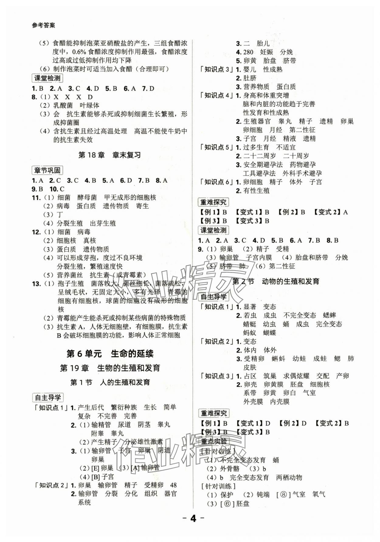 2024年全程突破八年級生物全一冊北師大版 第4頁