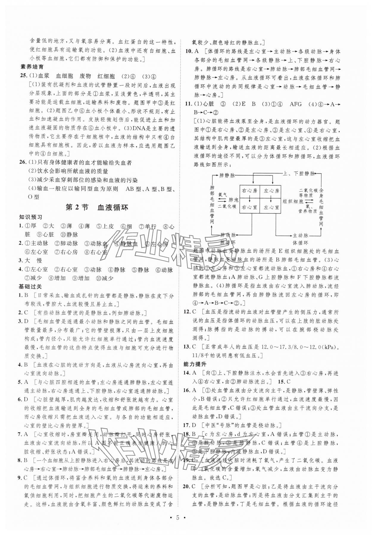 2024年課堂導(dǎo)學(xué)七年級(jí)生物下冊(cè)北師大版 第5頁(yè)