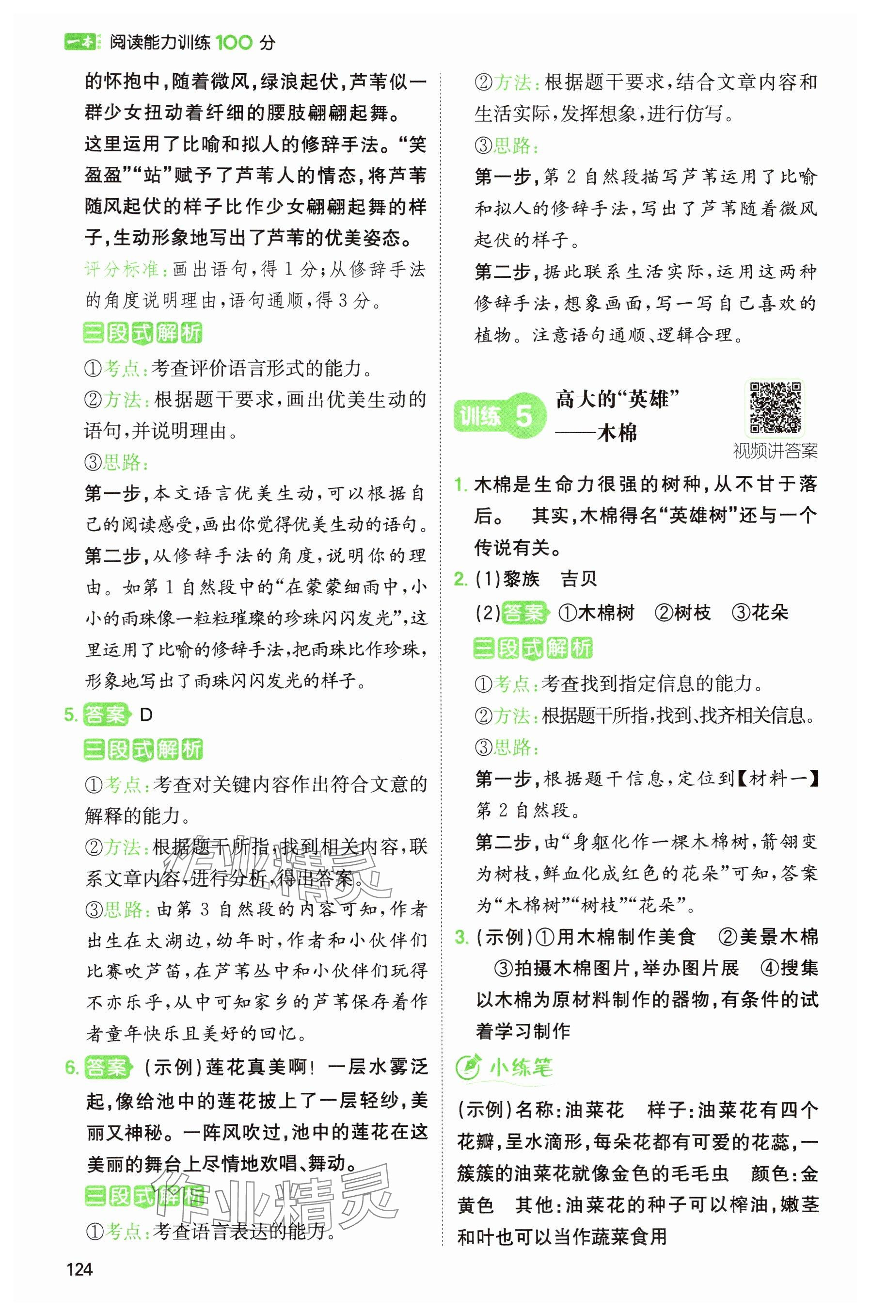 2024年一本阅读能力训练100分三年级语文人教版浙江专版&nbsp;参考答案第4页