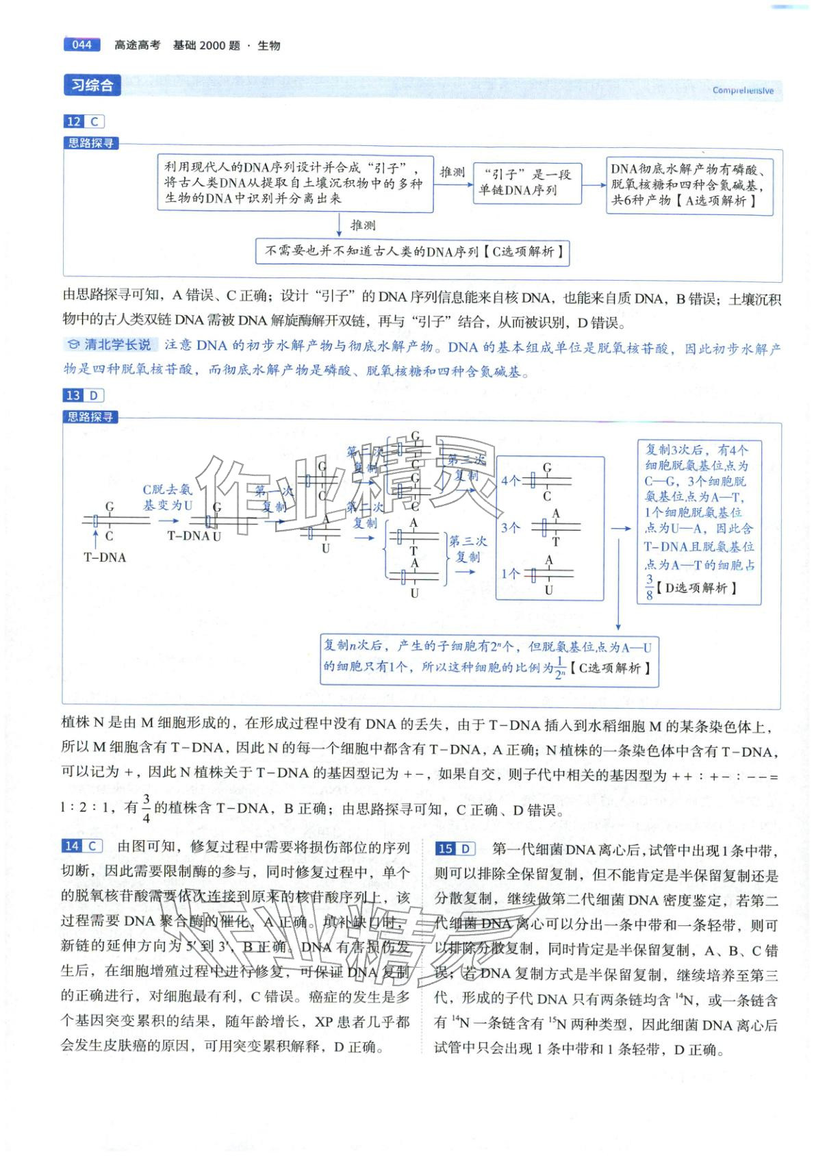 2026年高途高考基礎(chǔ)2000題高中生物&nbsp;第44頁(yè)