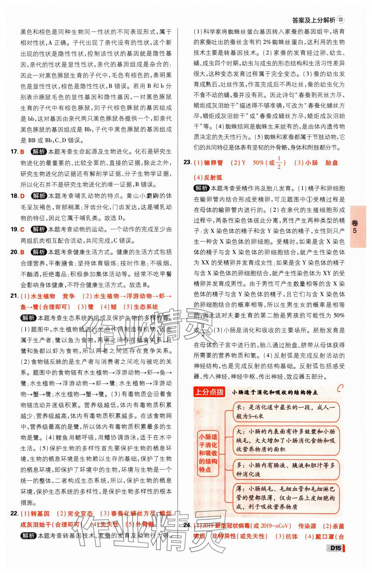 2025年中考必刷卷开明出版社生物河南专版&nbsp;参考答案第14页