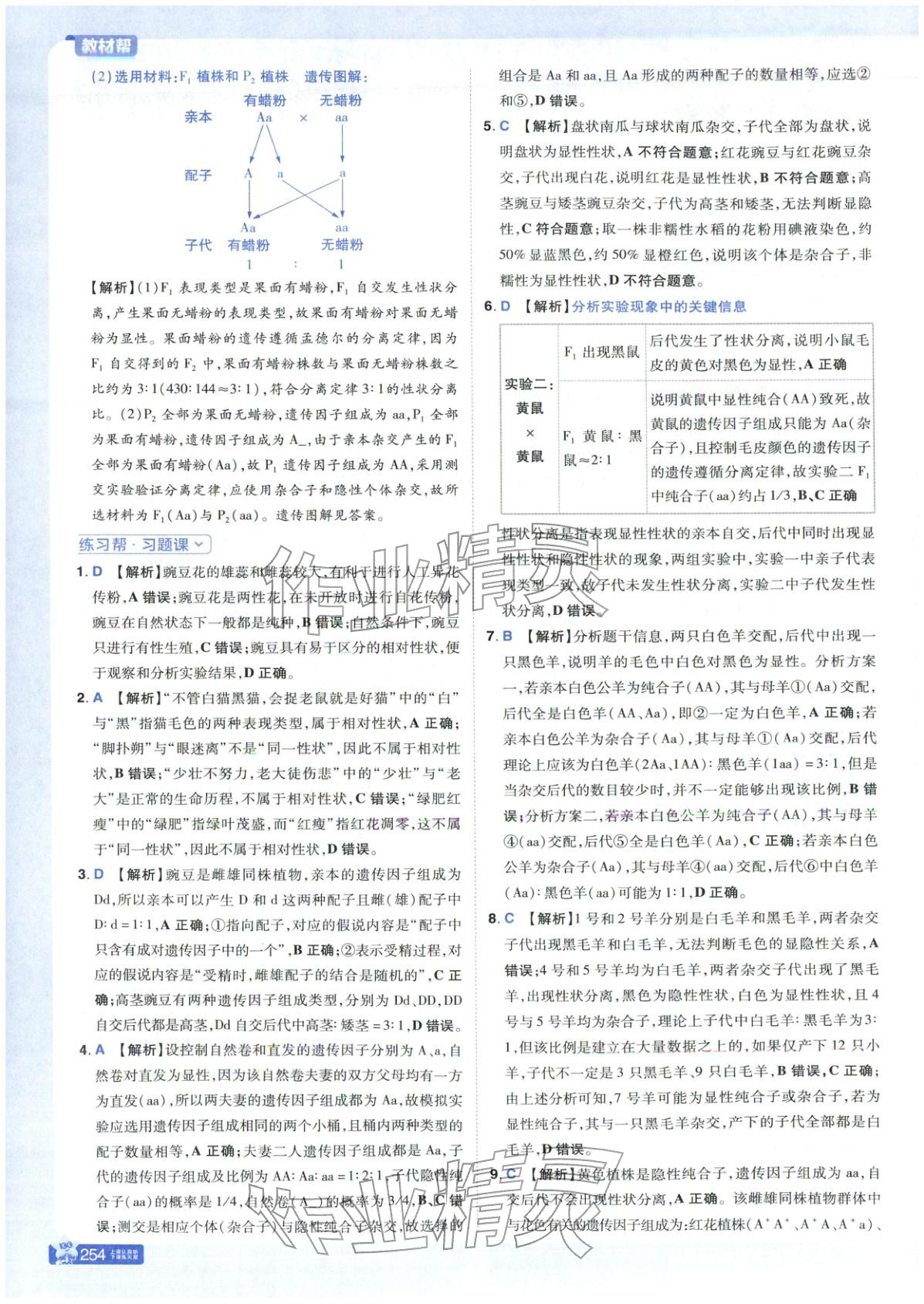 2025年教材帮高中生物必修第二册人教版 第2页