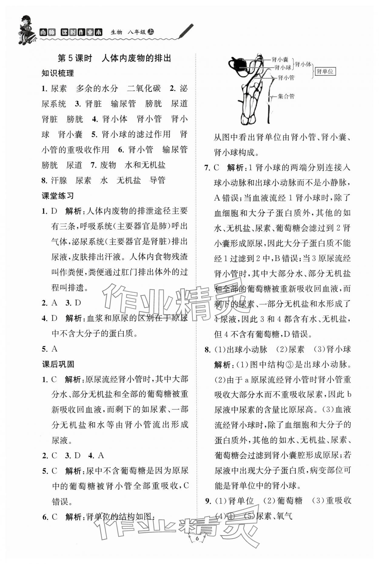 2024年創(chuàng)新課時作業(yè)本江蘇人民出版社八年級生物上冊蘇科版 第6頁