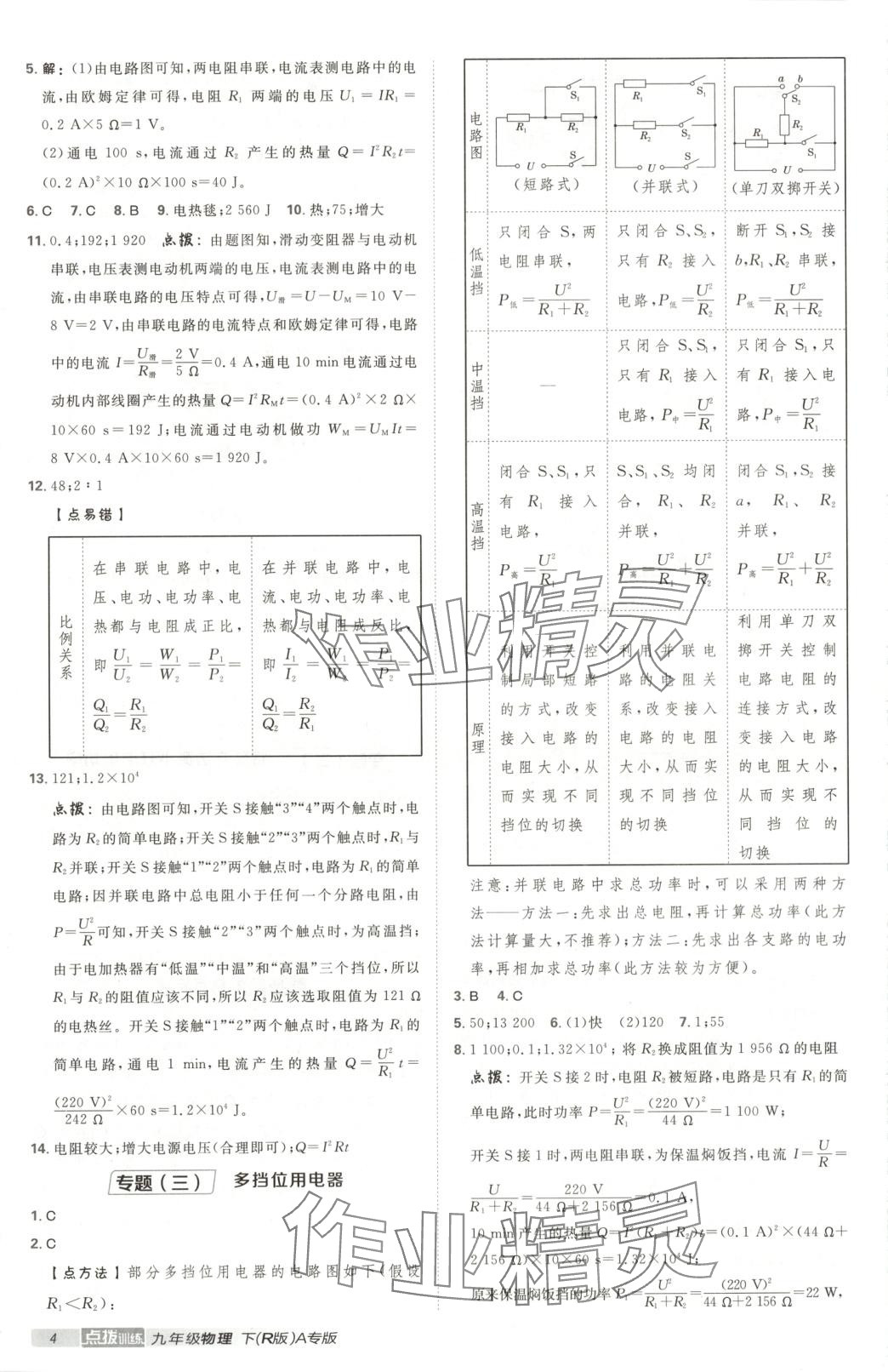 2025年点拨训练九年级物理下册人教版河北专版 第4页