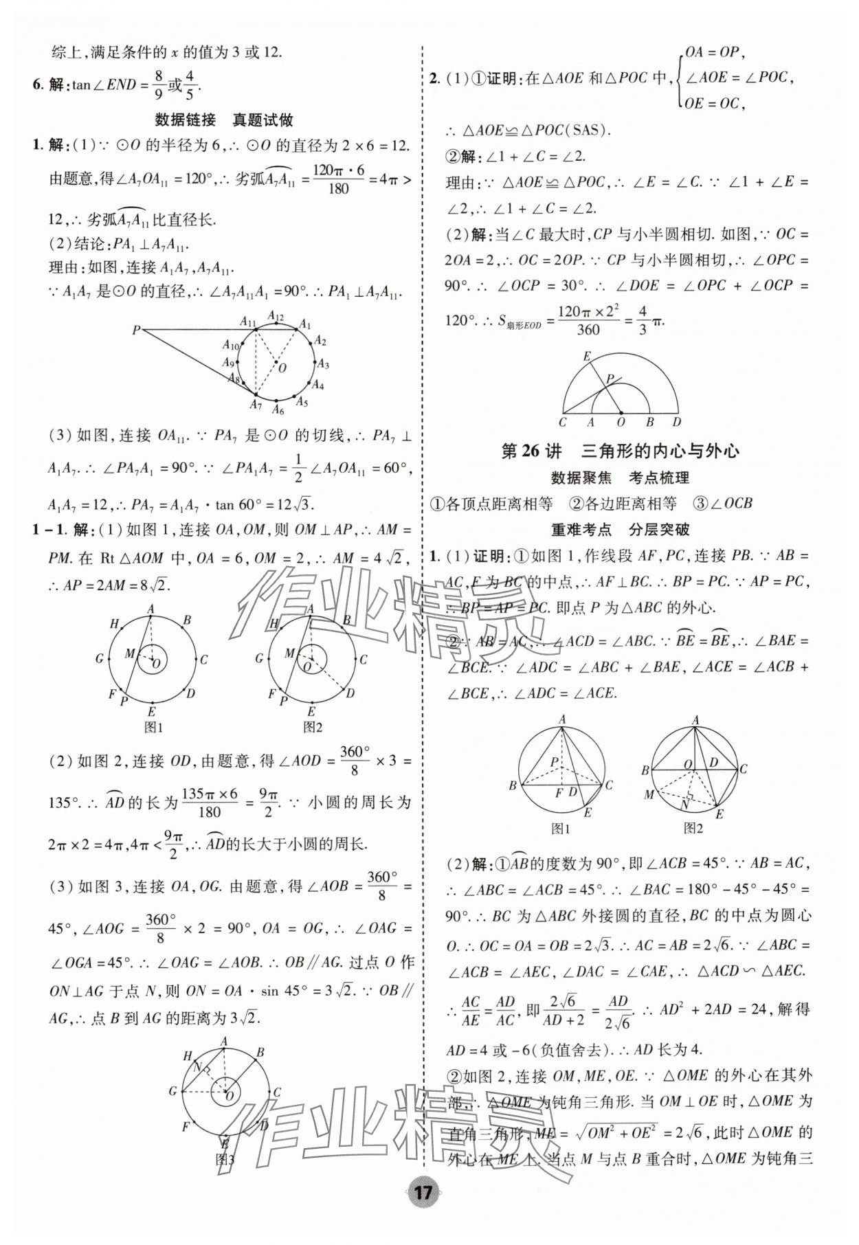 2025年中考大數(shù)據(jù)數(shù)學(xué)河北專版&nbsp;參考答案第17頁