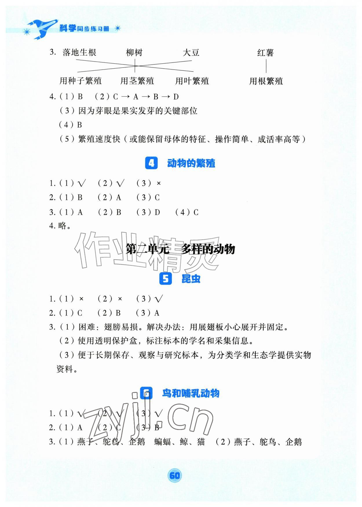 2026年同步练习册湖北教育出版社四年级科学上册人教鄂教版&nbsp;第2页