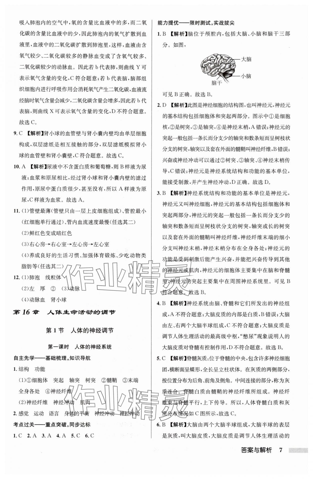 2024年啟東中學(xué)作業(yè)本八年級(jí)生物全一冊(cè)蘇科版 參考答案第7頁(yè)