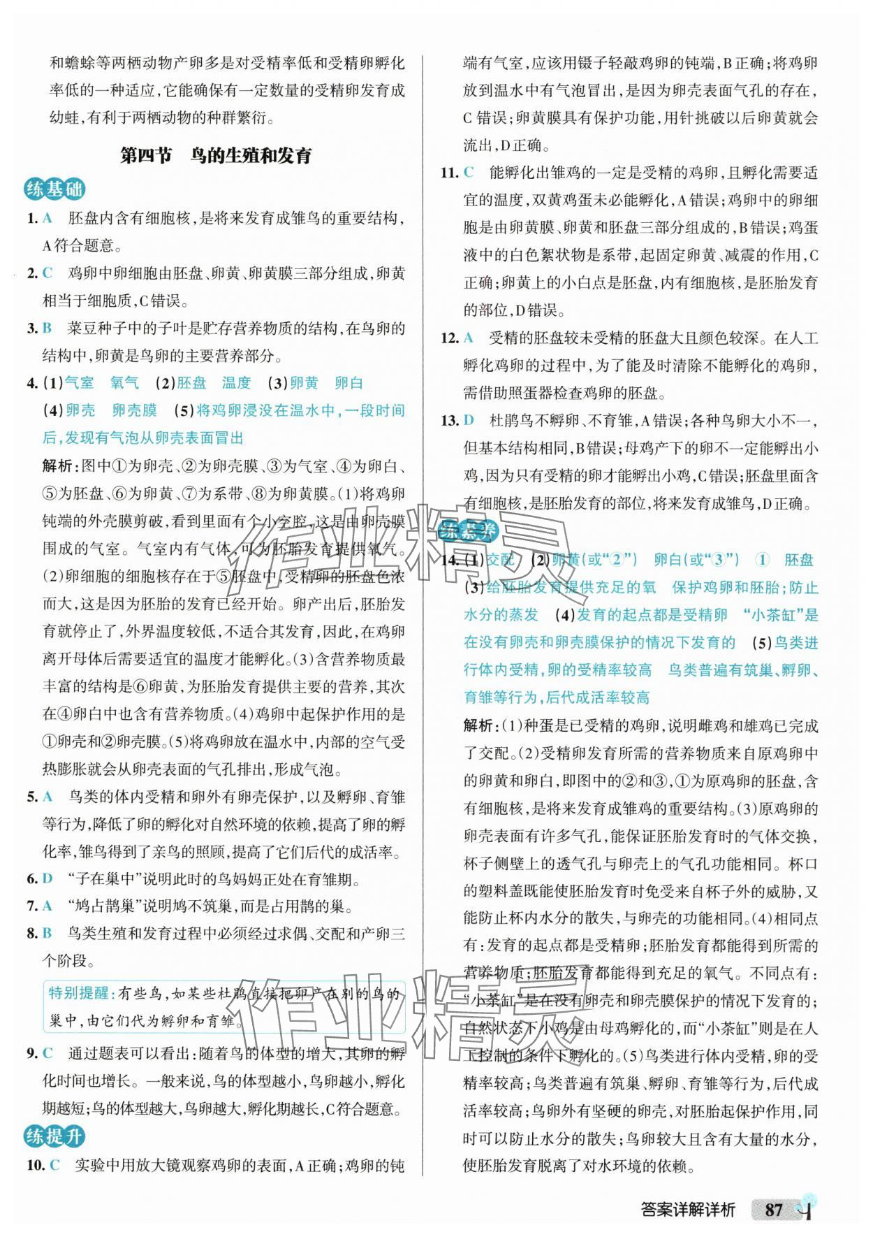 2025年初中學霸創新題八年級生物下冊人教版 參考答案第5頁