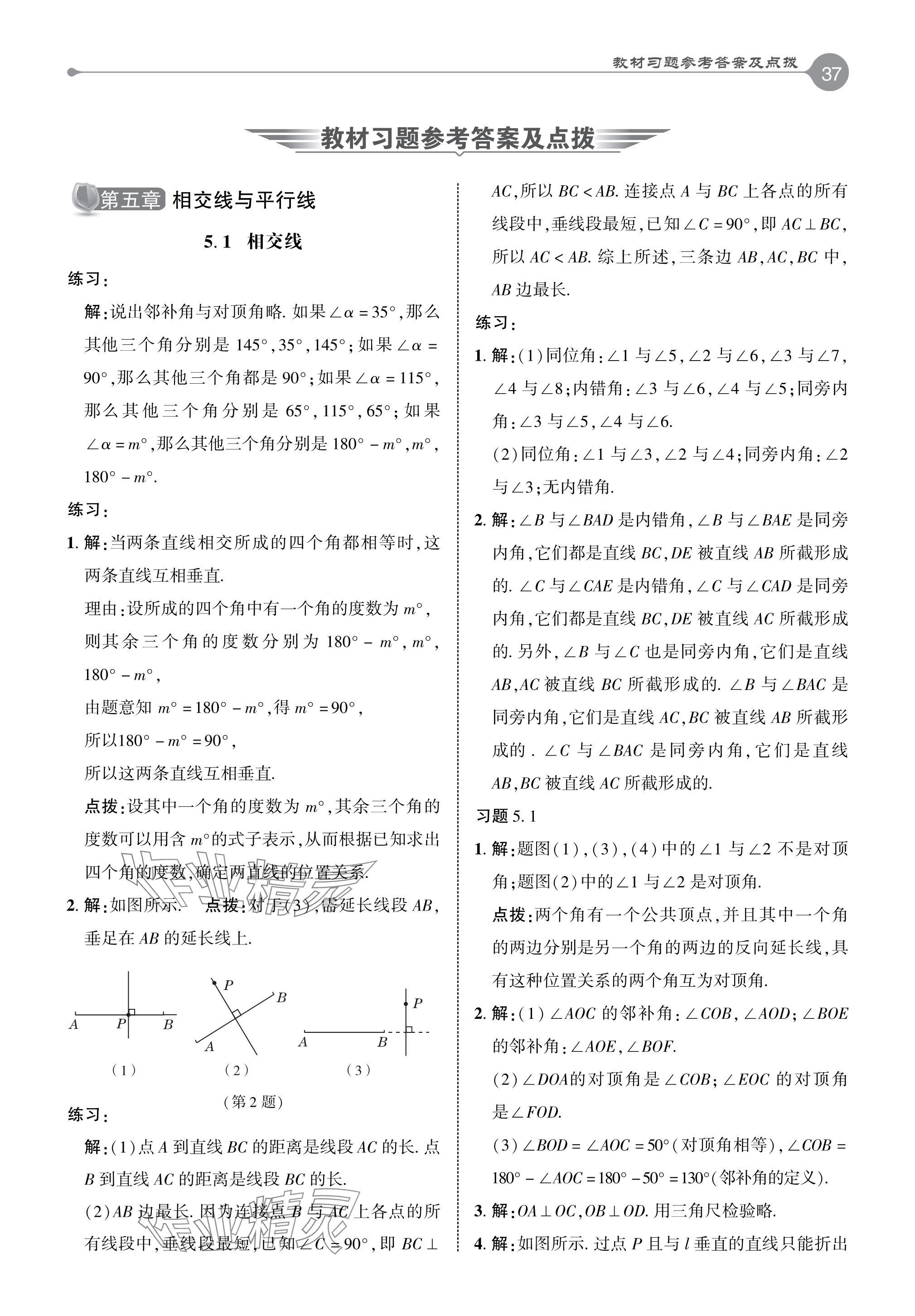 2024年教材课本七年级数学下册人教版 参考答案第1页