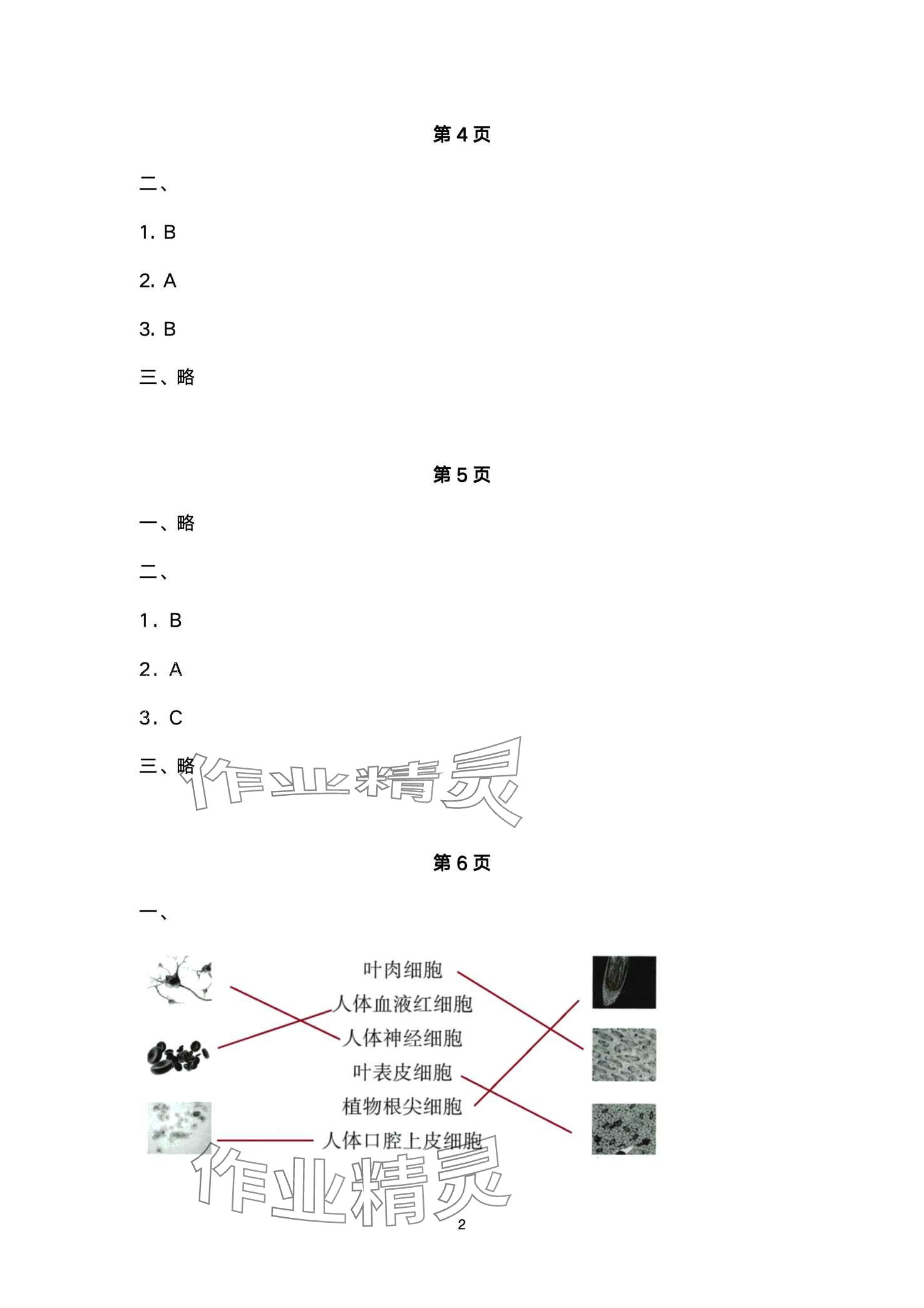 2024年寒假作業(yè)教育科學出版社六年級教科版 第2頁