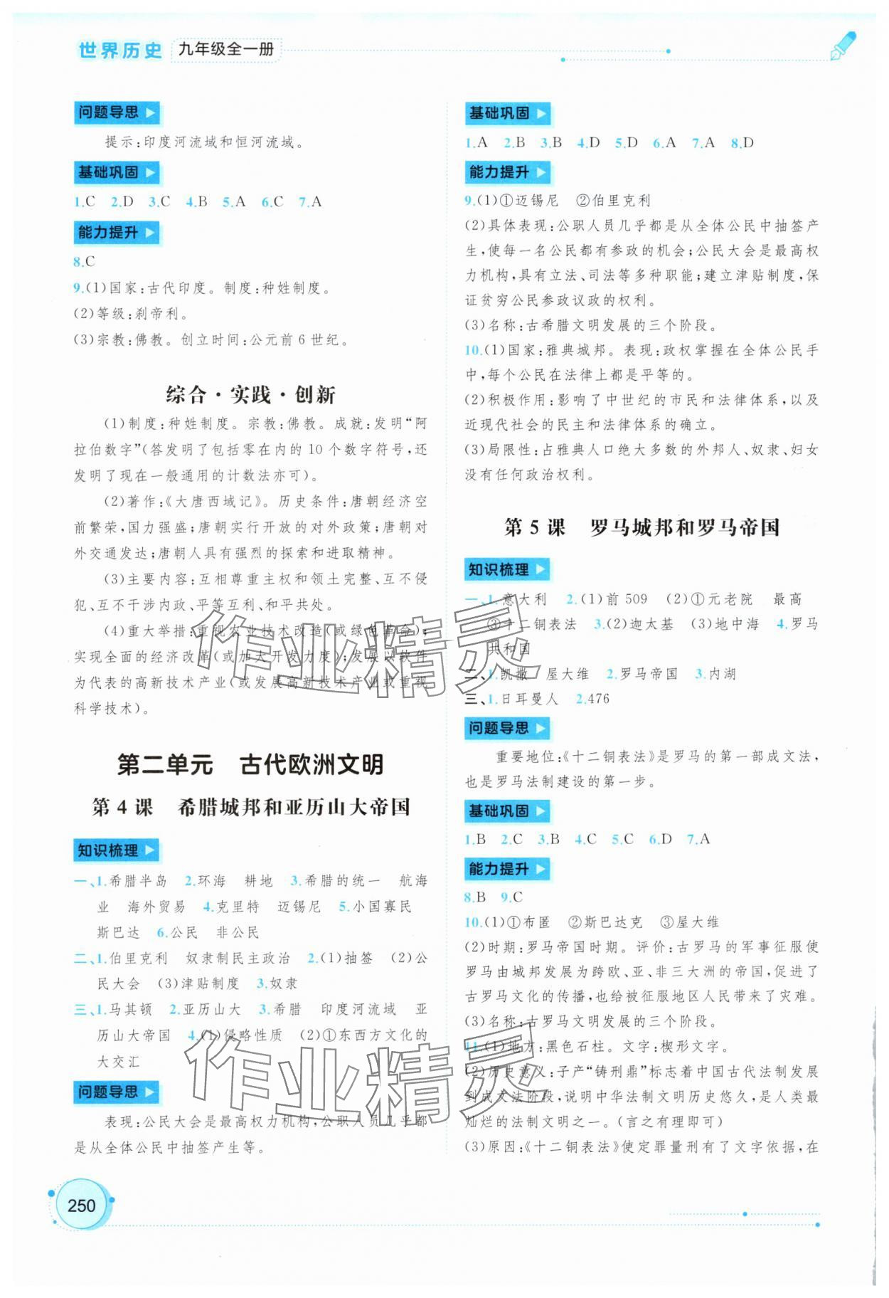 2025年新课程学习与测评同步学习九年级历史全一册人教版 第2页