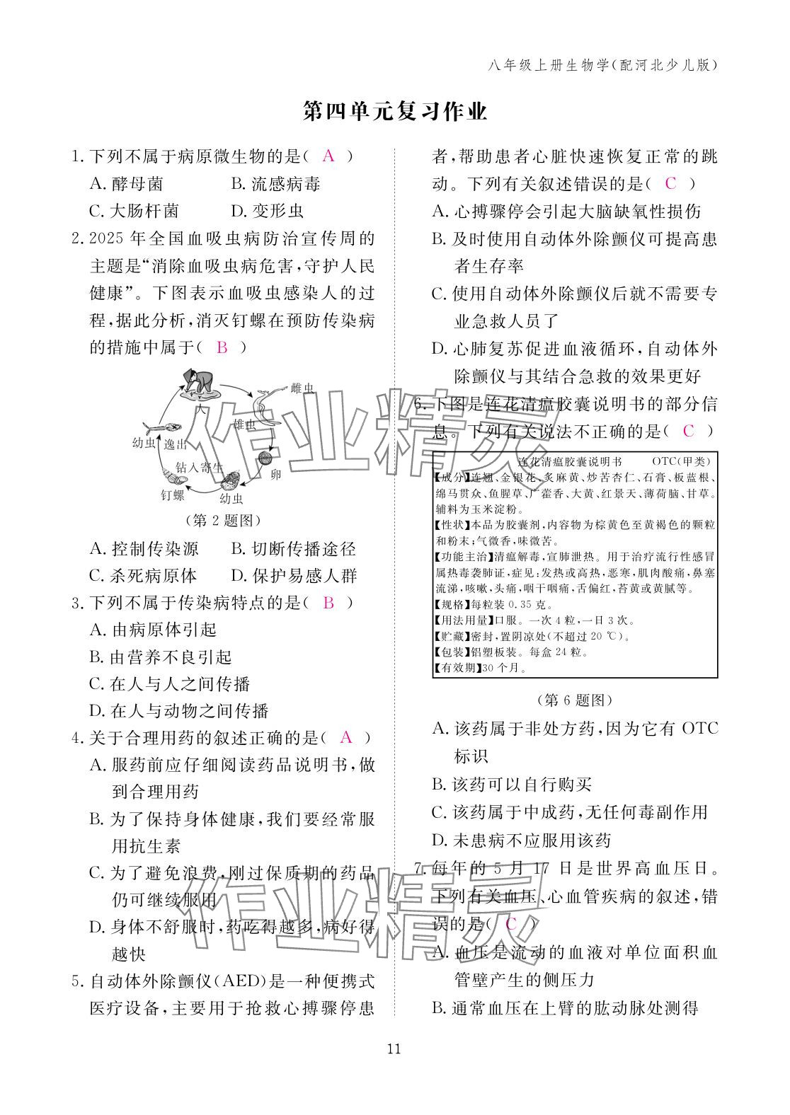 2025年作業本江西教育出版社八年級生物上冊冀少版 參考答案第11頁