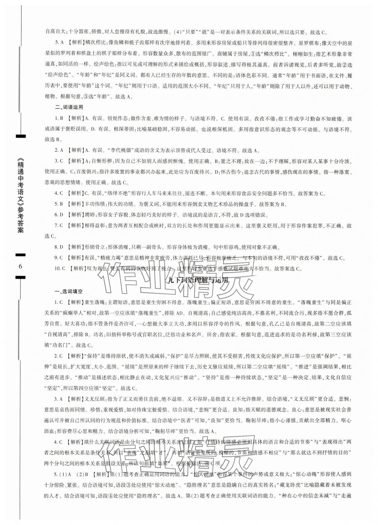 2025年精通中考語文基礎(chǔ)知識與試卷訓練 參考答案第6頁
