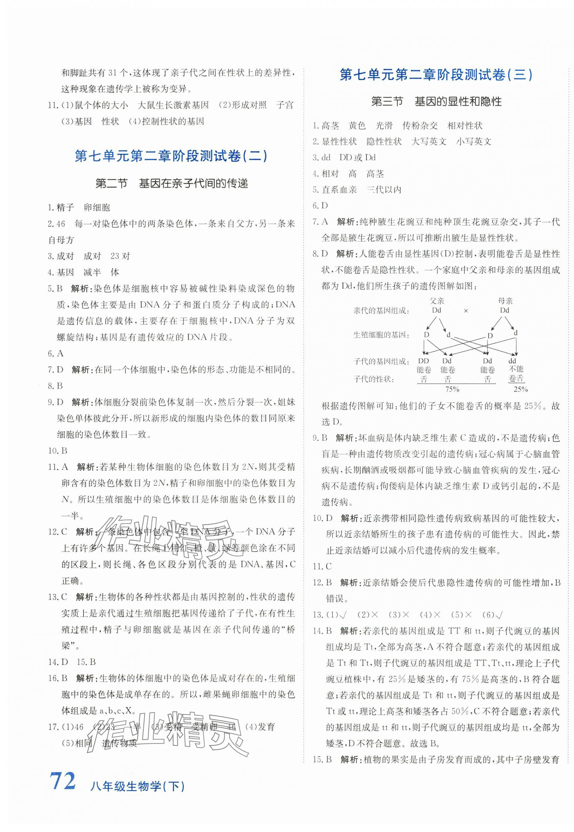 2025年提分教練八年級生物下冊人教版 第3頁