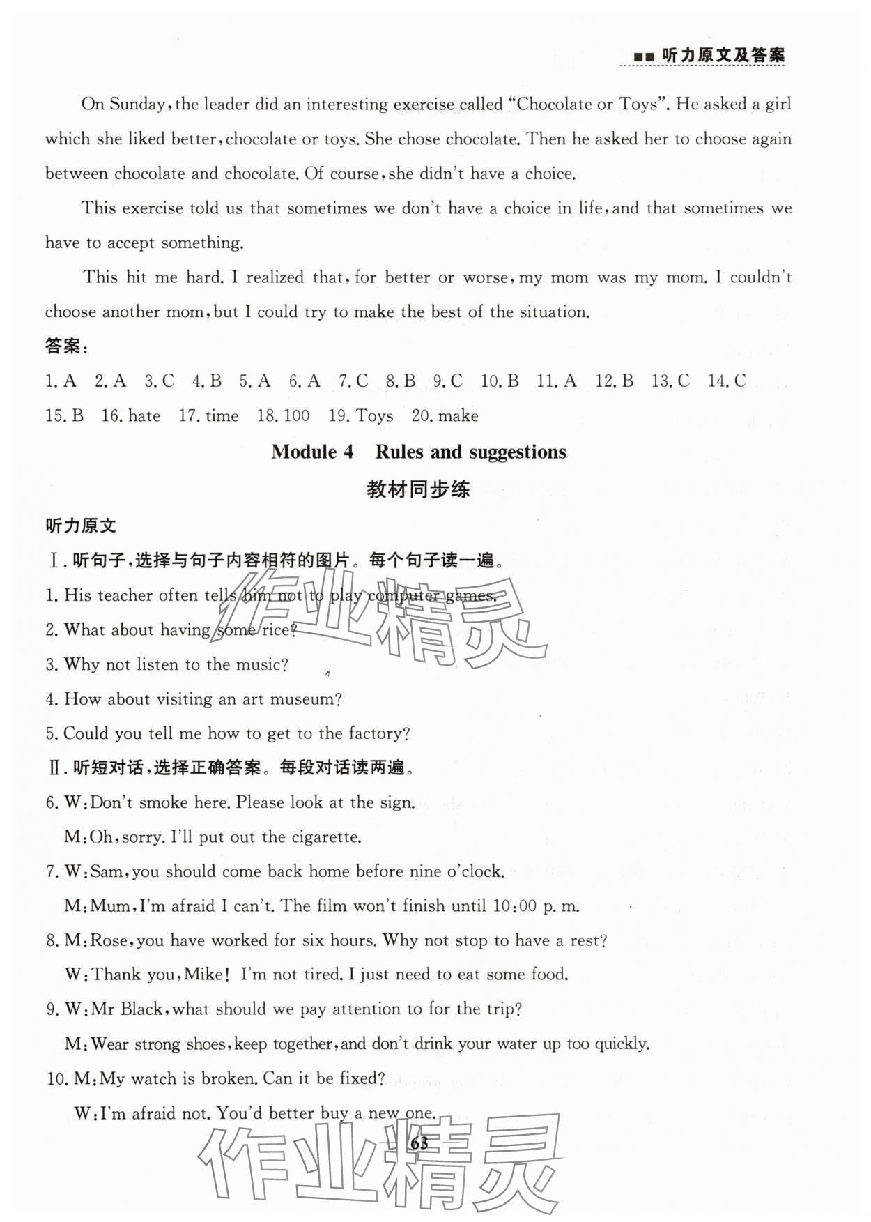 2025年行知天下九年级英语下册外研版听力版 第13页