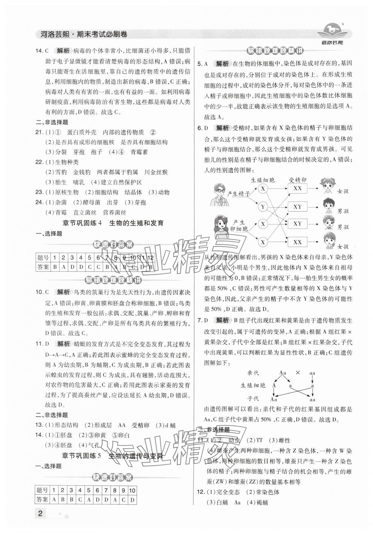 2024年期末考试必刷卷八年级生物上册人教版郑州专版 第2页