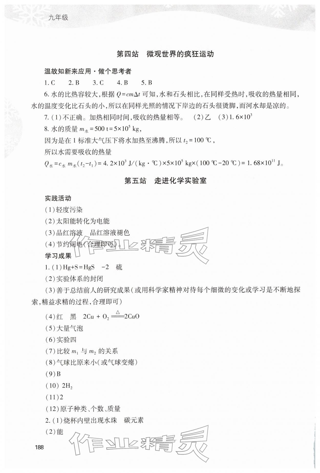 2026年新课程寒假作业本九年级综合D&nbsp;参考答案第5页