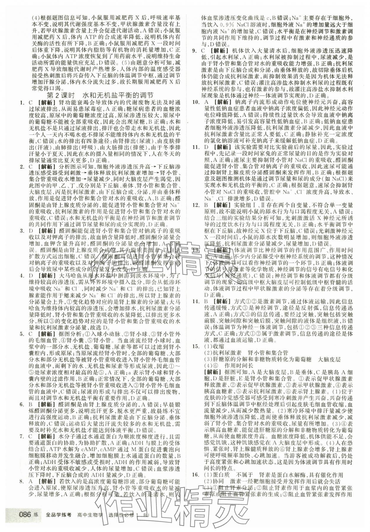 2025年全品學(xué)練考生物選擇性必修1人教版 第12頁