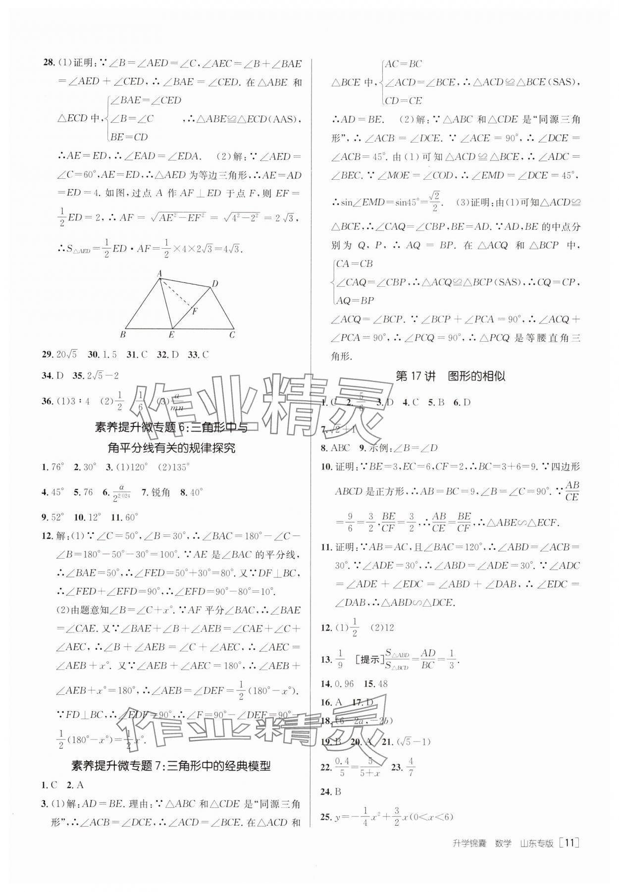 2025年升學(xué)錦囊數(shù)學(xué)山東專版 第13頁(yè)