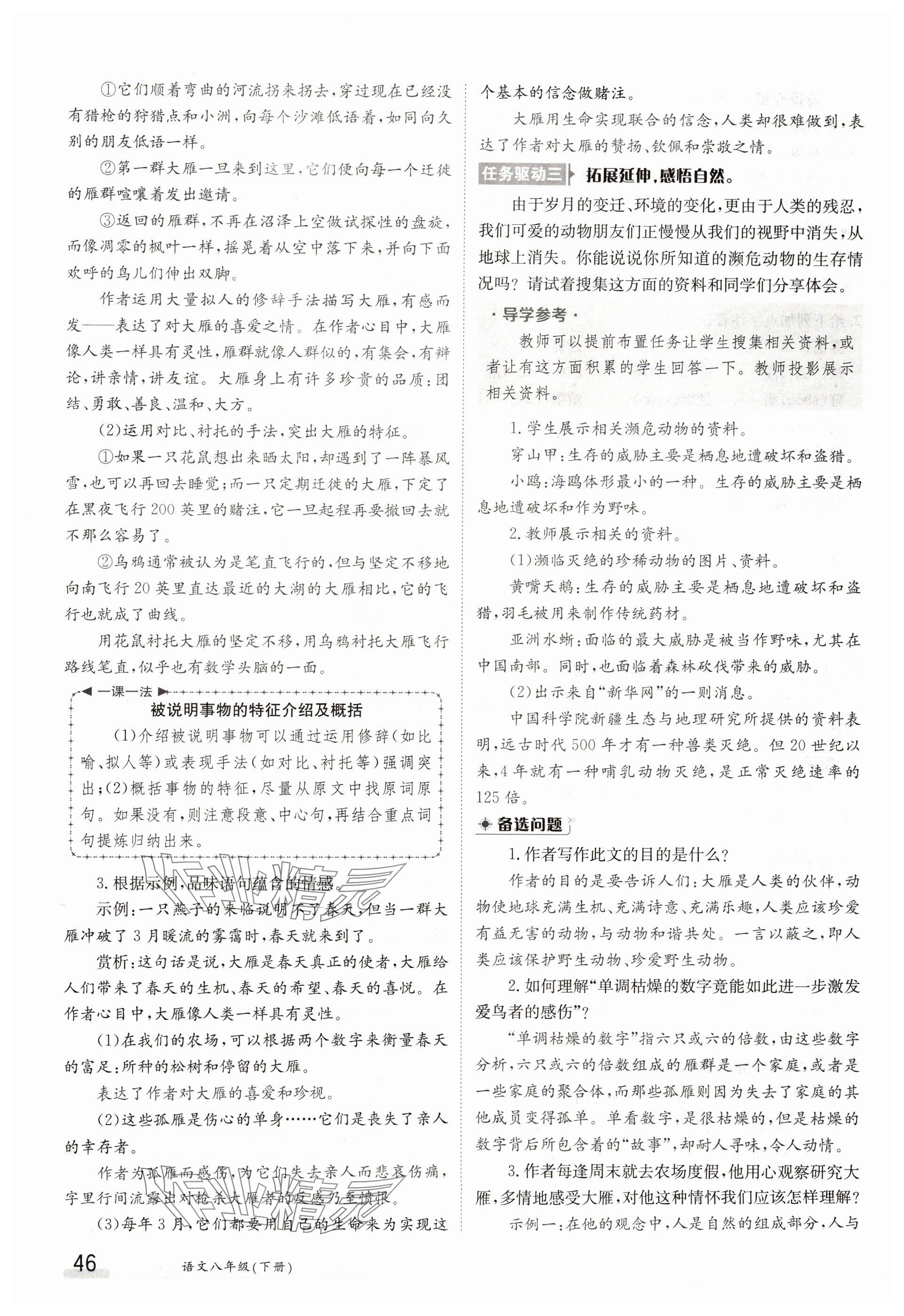 2025年金太陽導學案八年級語文下冊人教版 參考答案第46頁