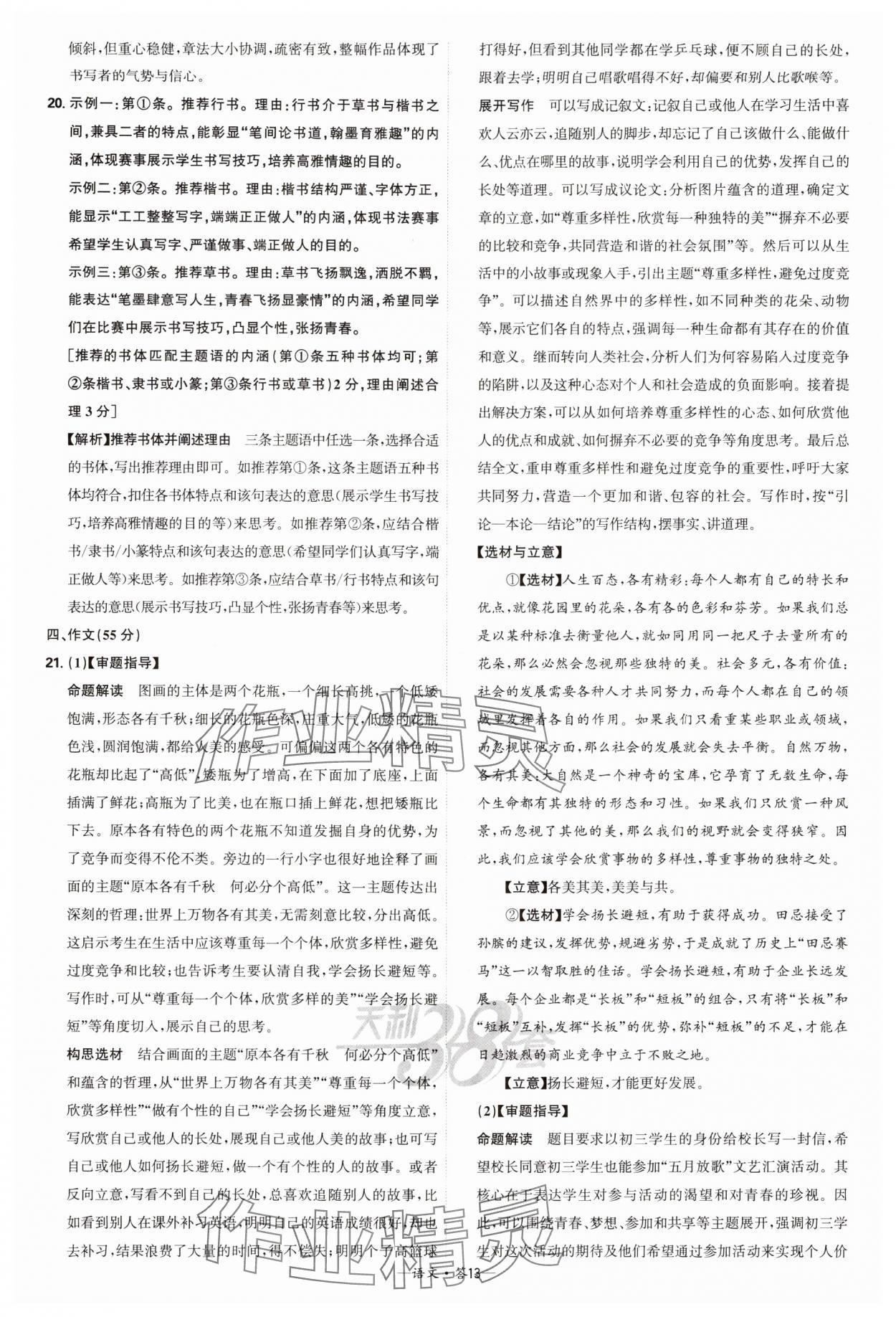 2025年天利38套新課標(biāo)全國(guó)中考試題精選語(yǔ)文 參考答案第13頁(yè)