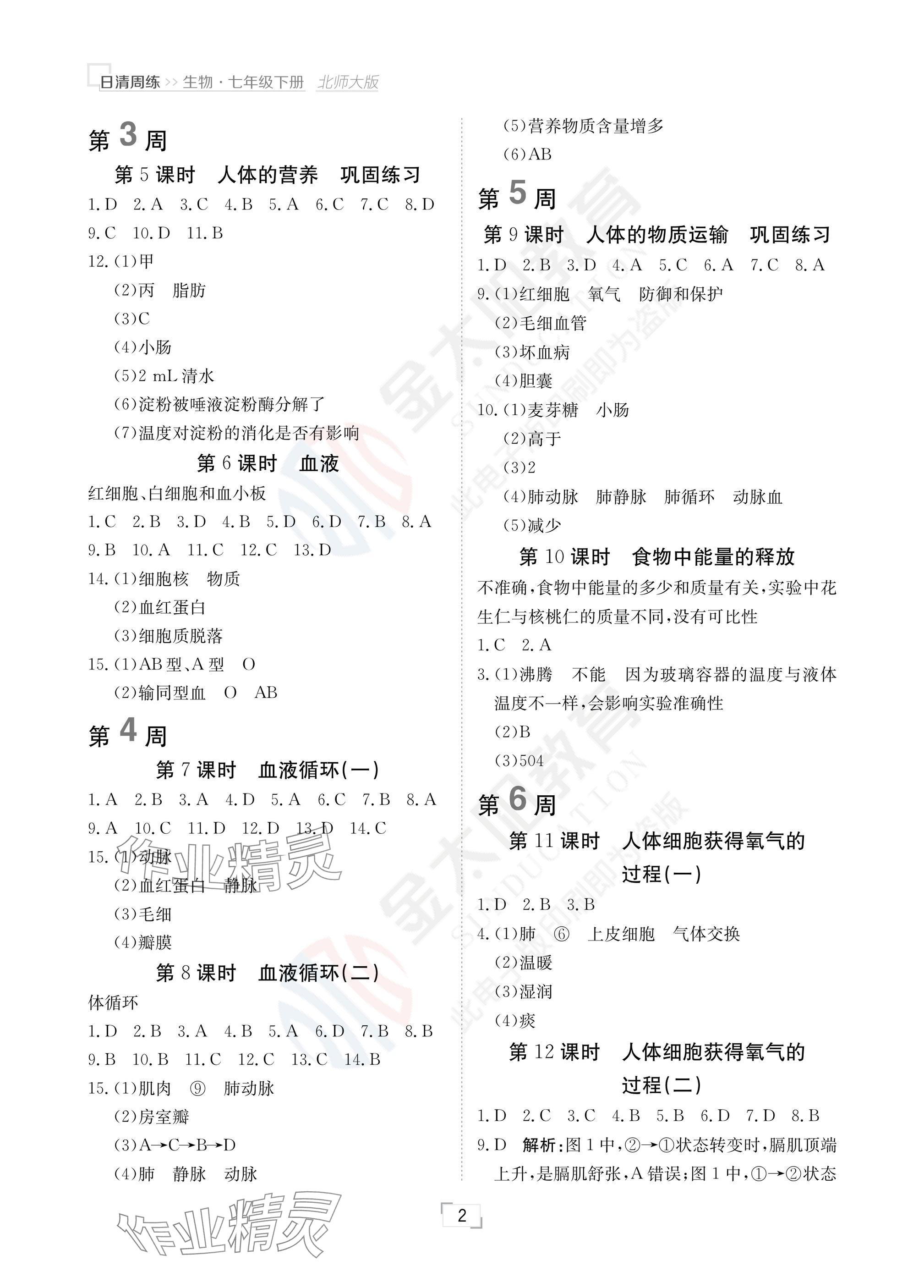 2025年日清周練七年級(jí)生物下冊(cè)北師大版 參考答案第2頁(yè)
