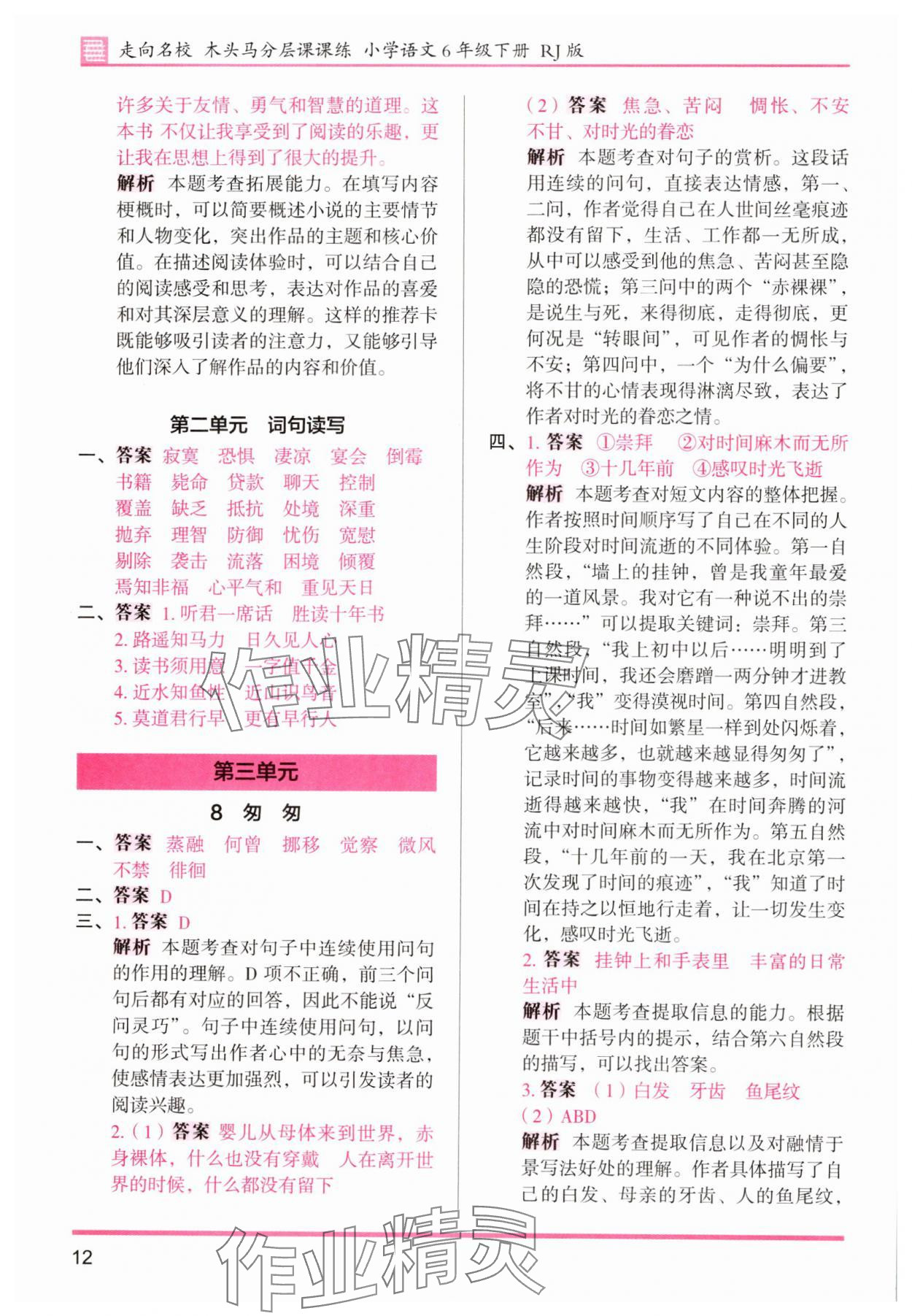 2025年木頭馬分層課課練六年級語文下冊人教版浙江專版 第12頁