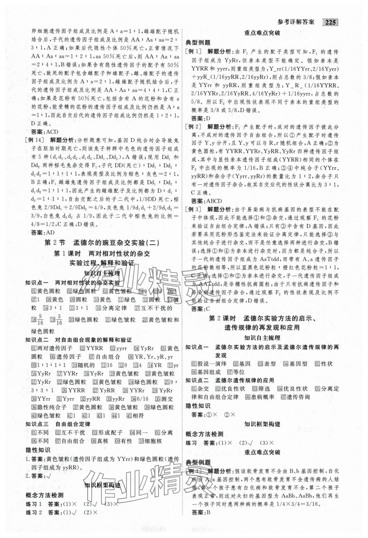 2025年金版教程高中新課程創(chuàng)新導學案生物必修2人教版 參考答案第3頁