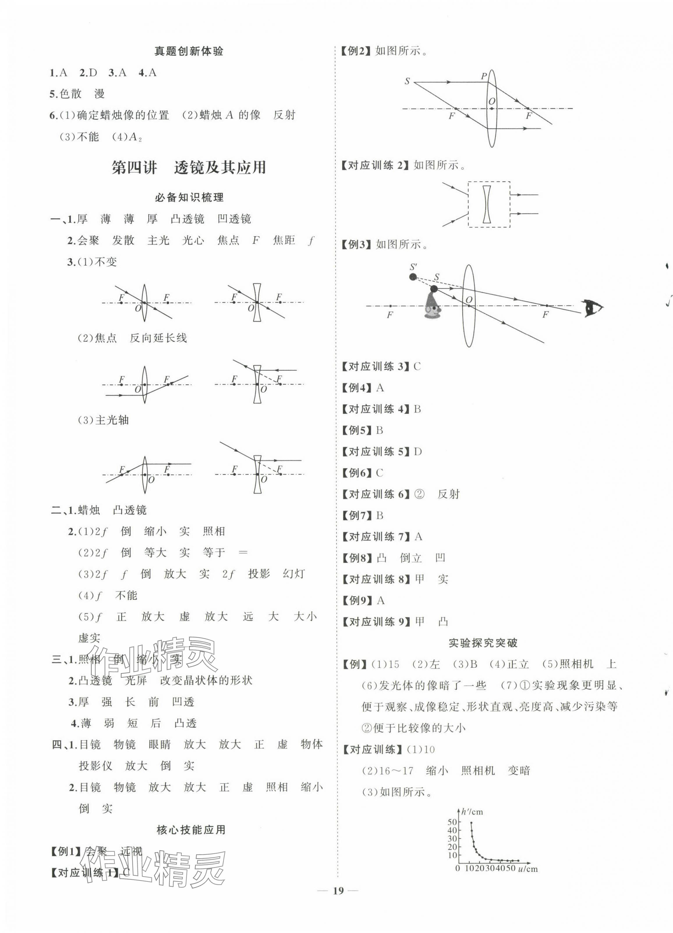 2025年初中总复习手册山东人民出版社物理鲁科版 第3页