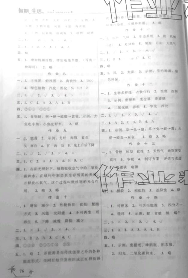 2024年假期生活寒假方圆电子音像出版社六年级综合 第2页