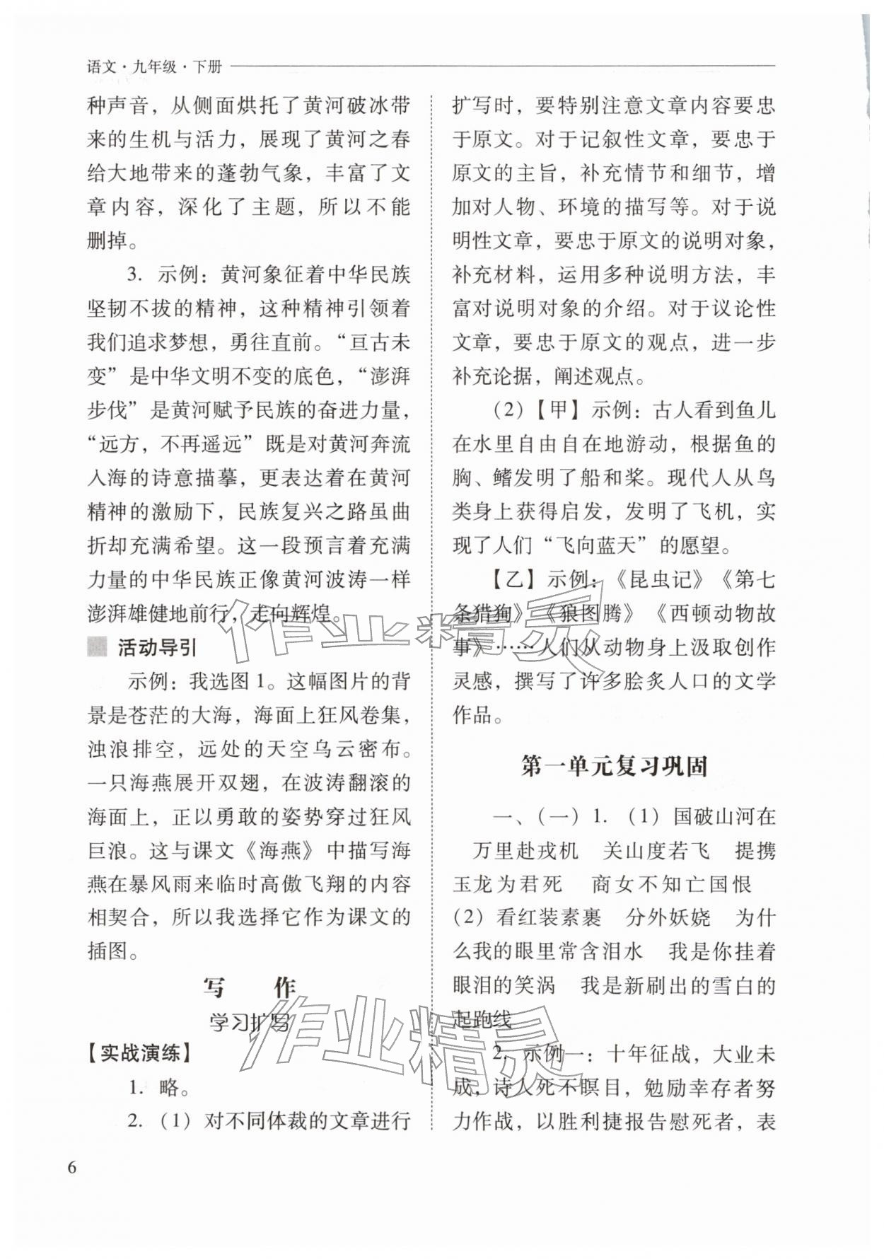 2026年新课程问题解决导学方案九年级语文下册人教版&nbsp;第6页