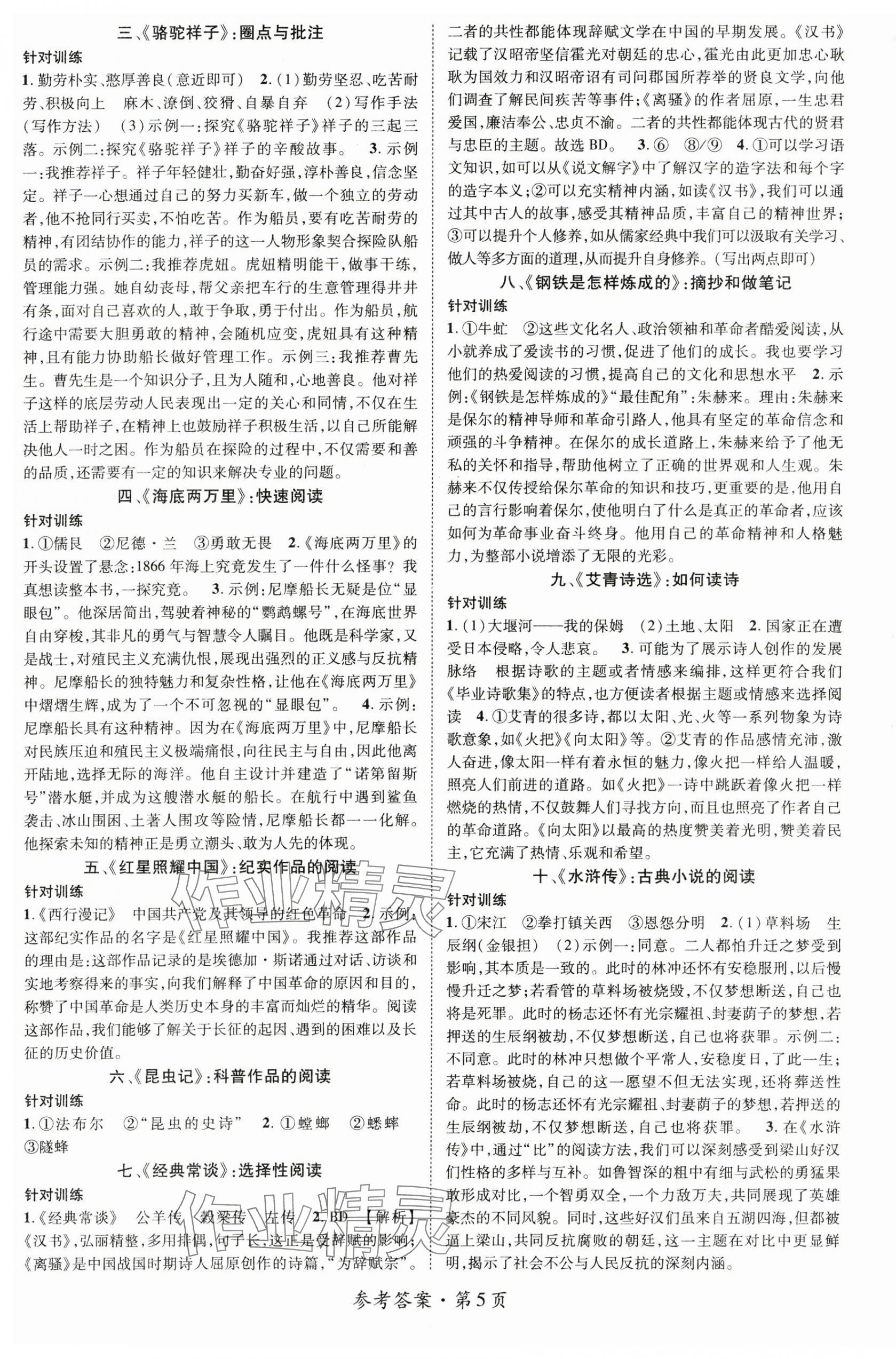 2025年鴻鵠志中考王語文廣西專版 第5頁
