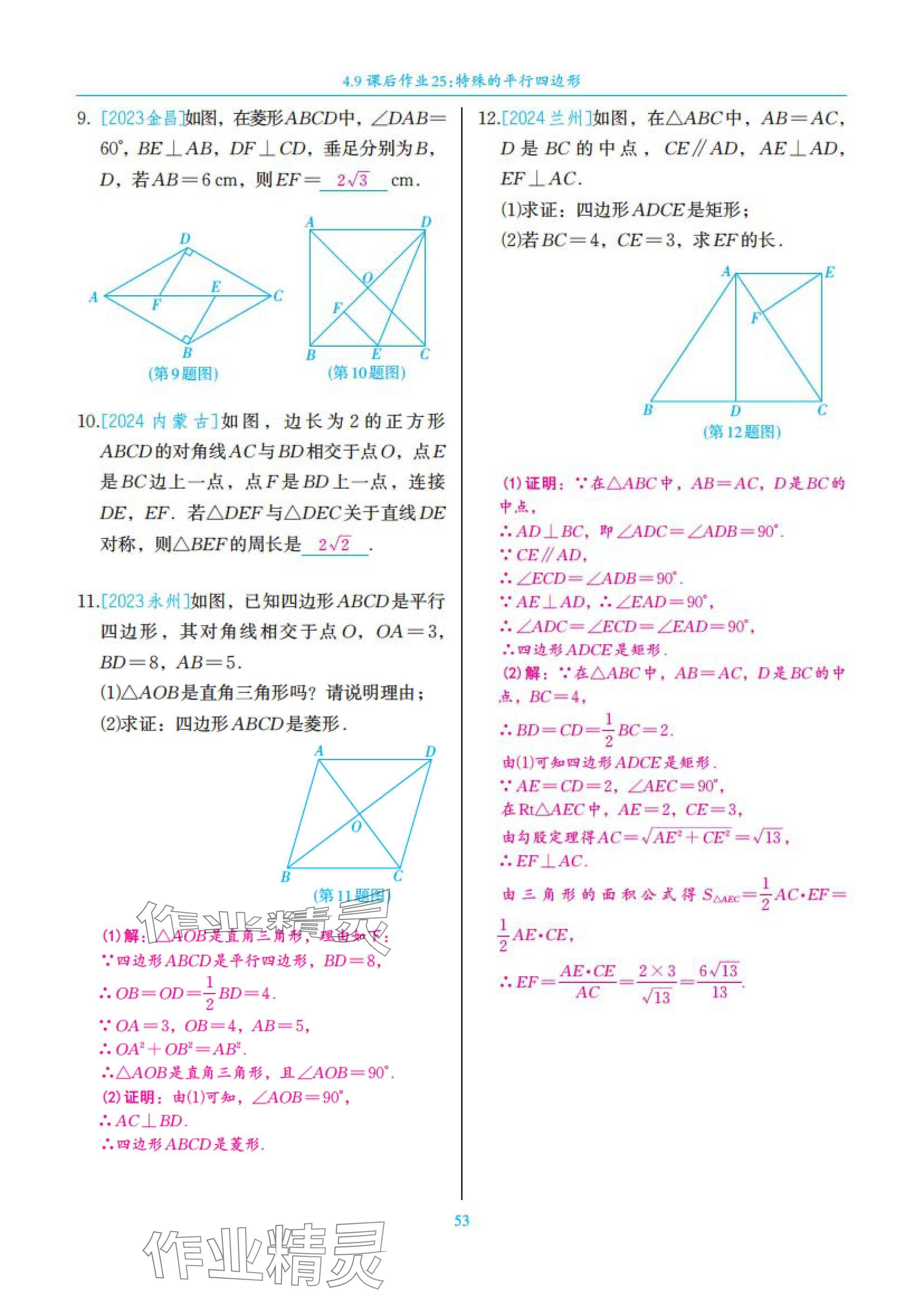 2025年中考复习一本全数学北师大版深圳专版&nbsp;参考答案第53页